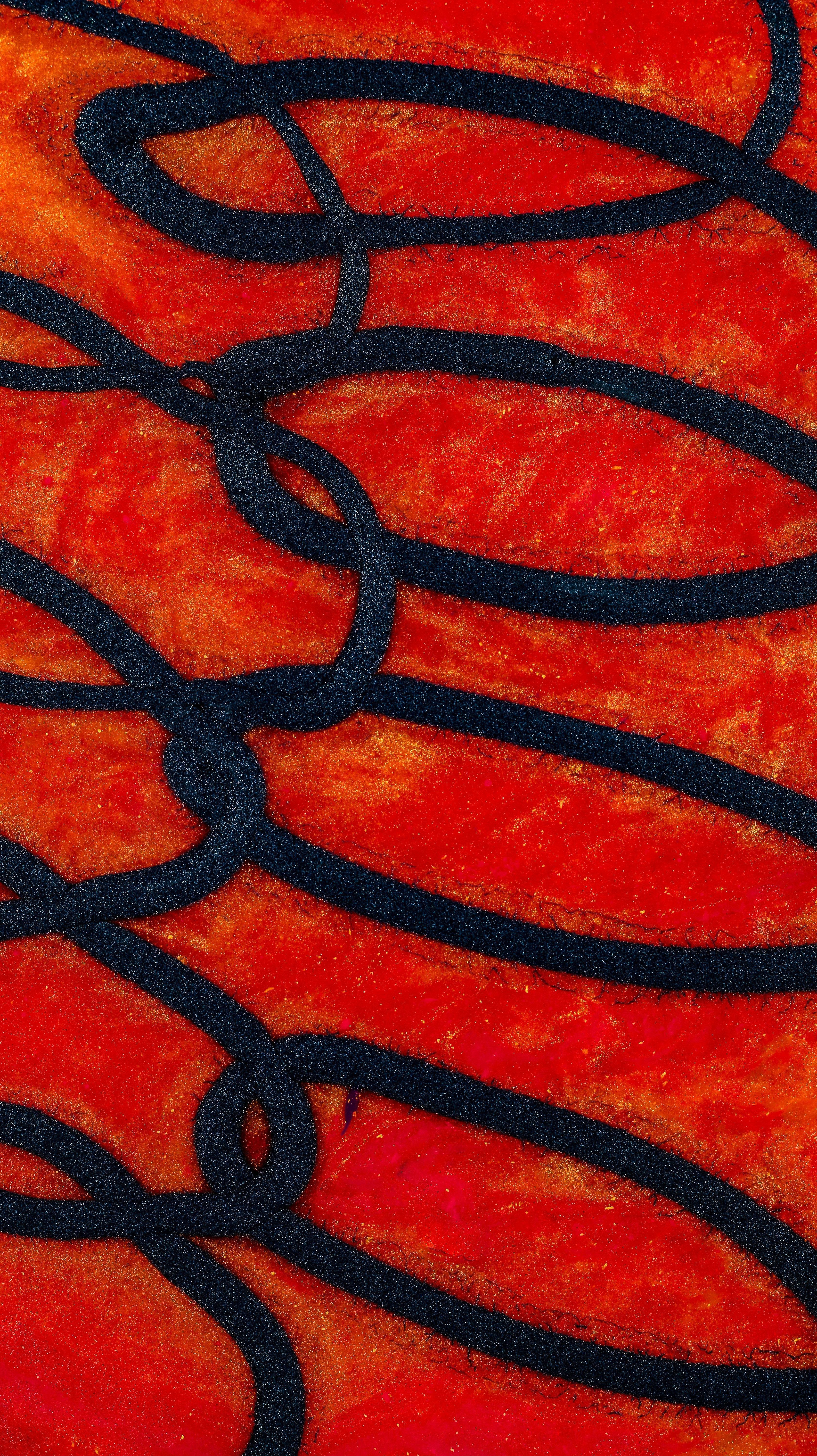 Photo by susan_wilkinson