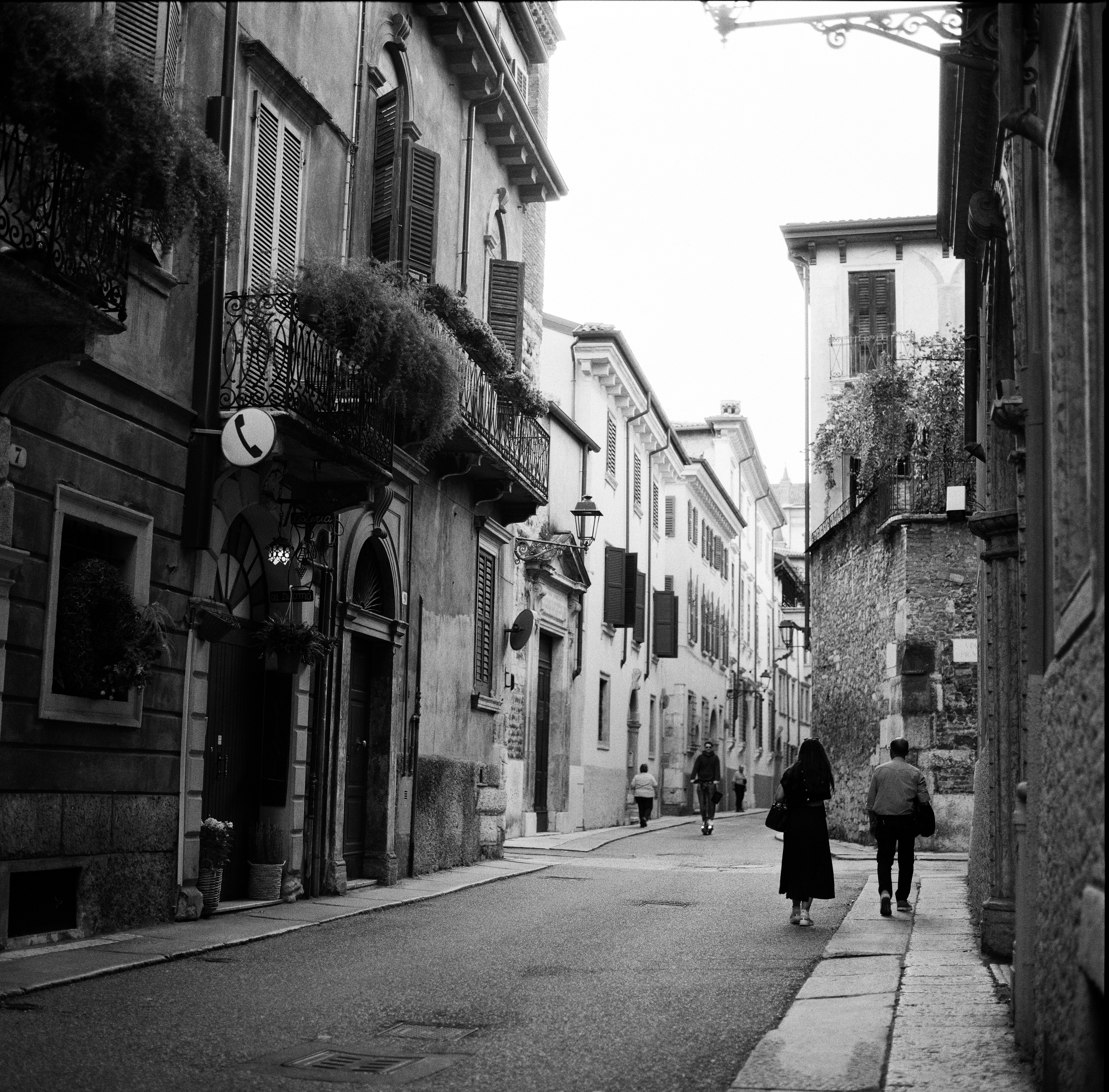 Photo by mikhail_mamaev