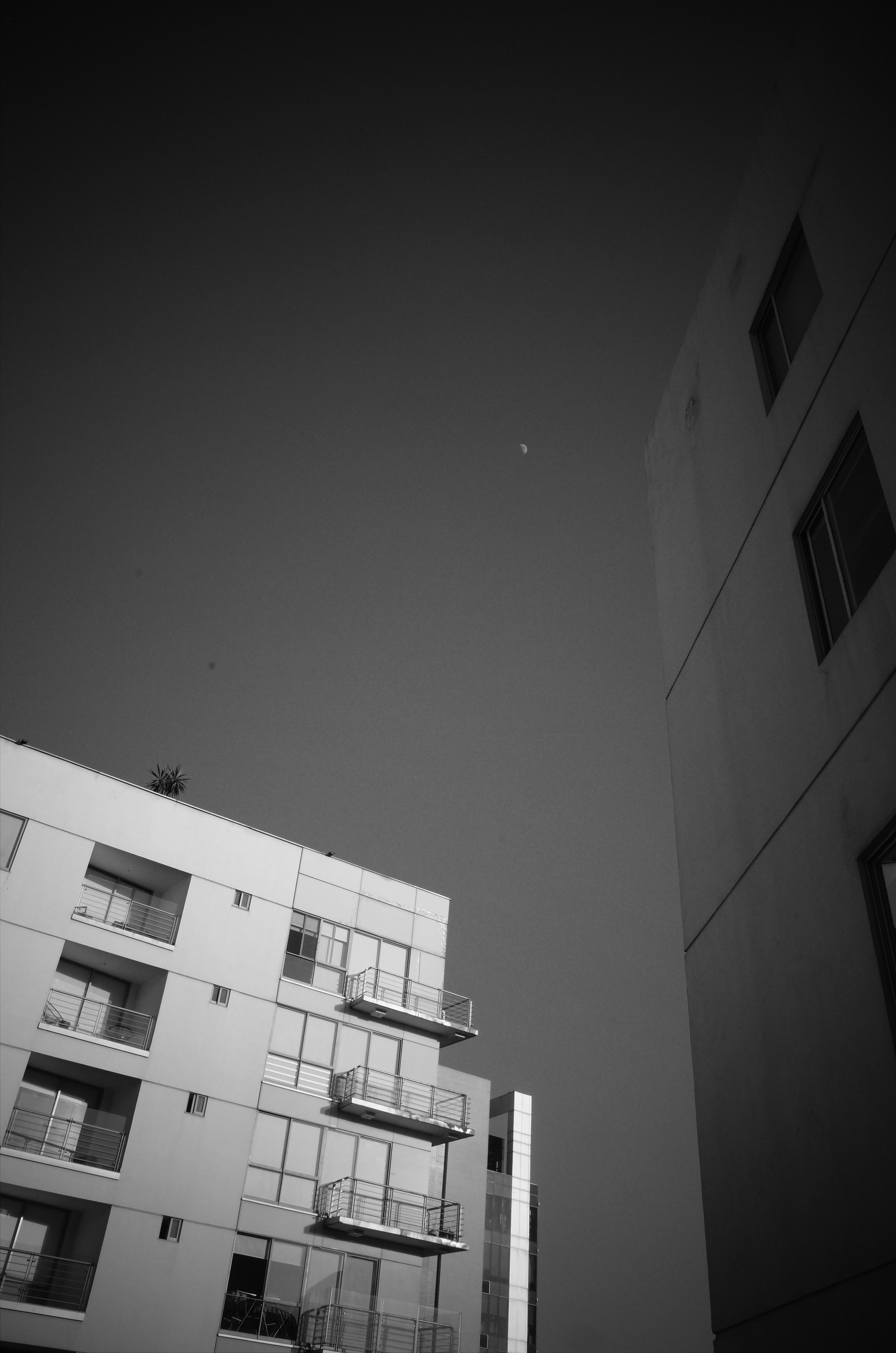 Photo by javio