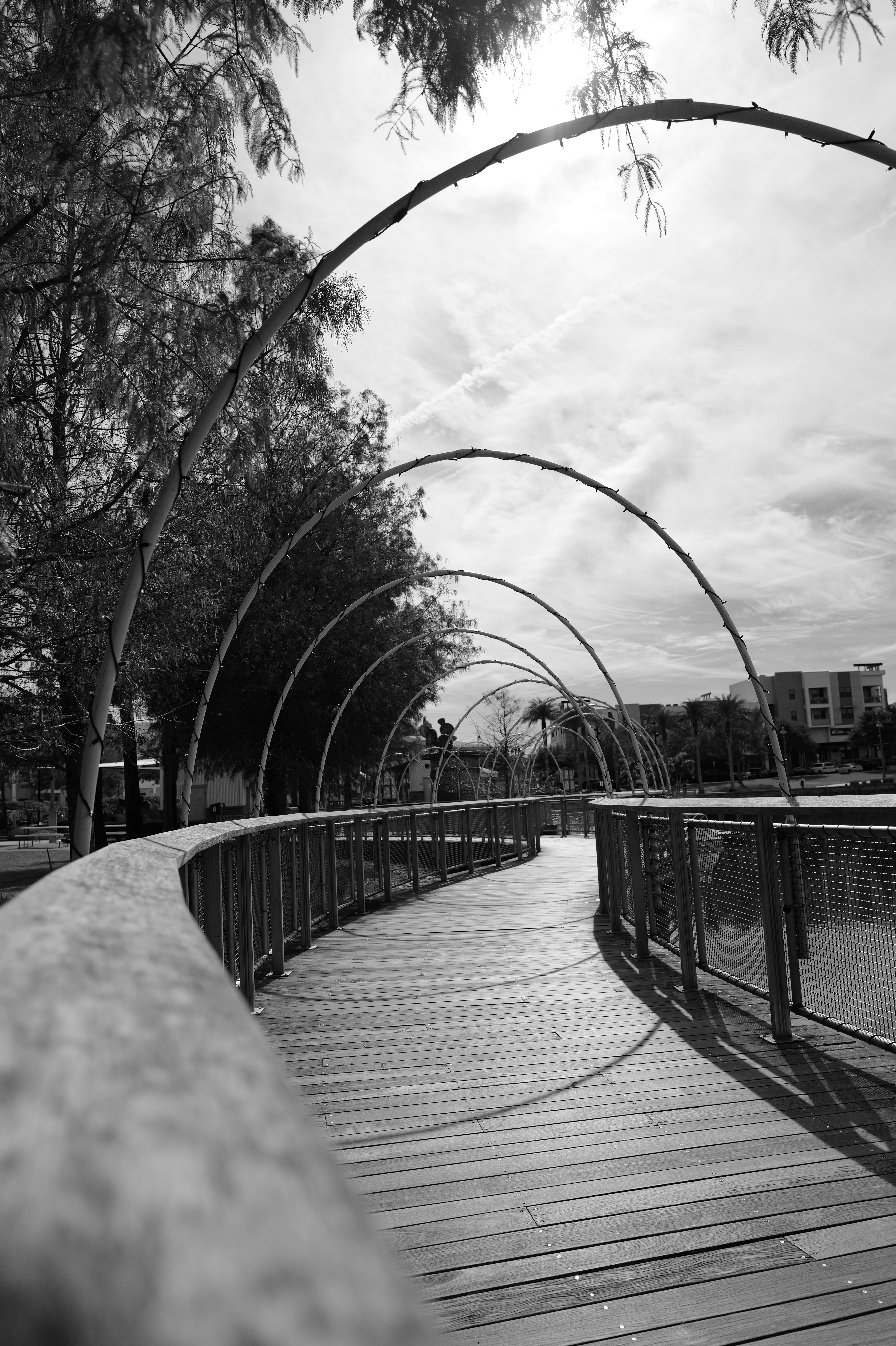 Photo by thephotochad