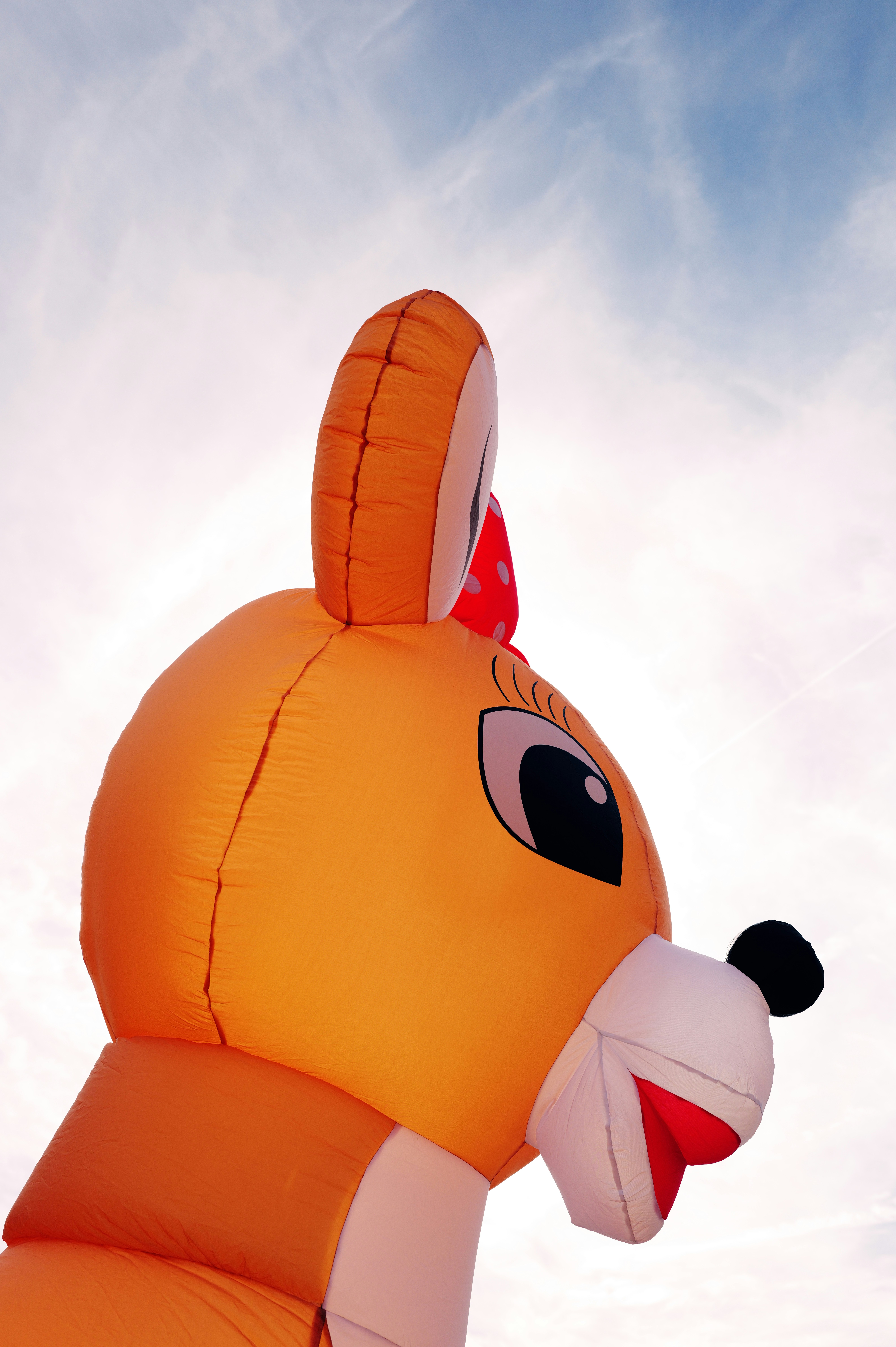 Photo by thephotochad