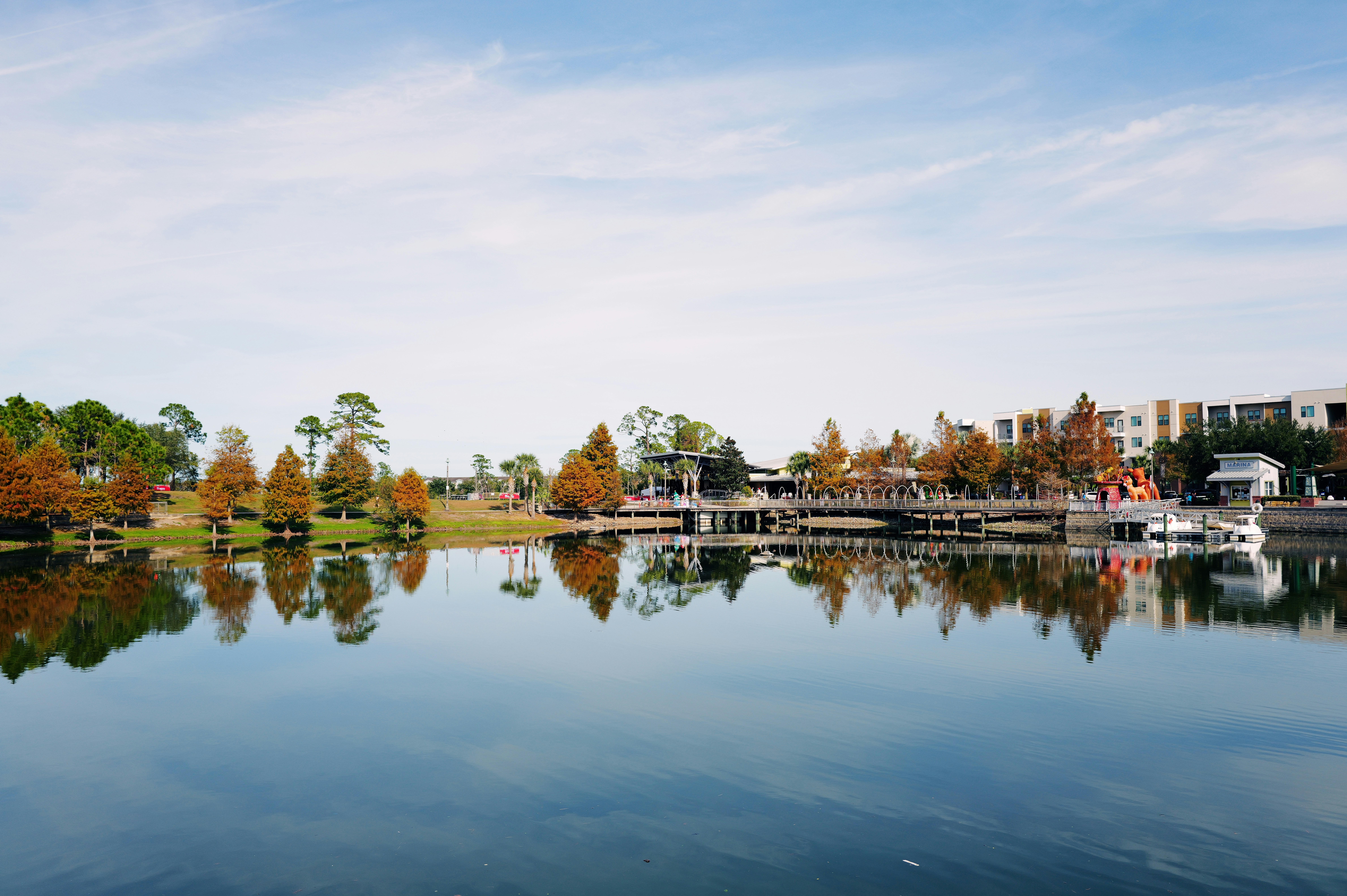 Photo by thephotochad