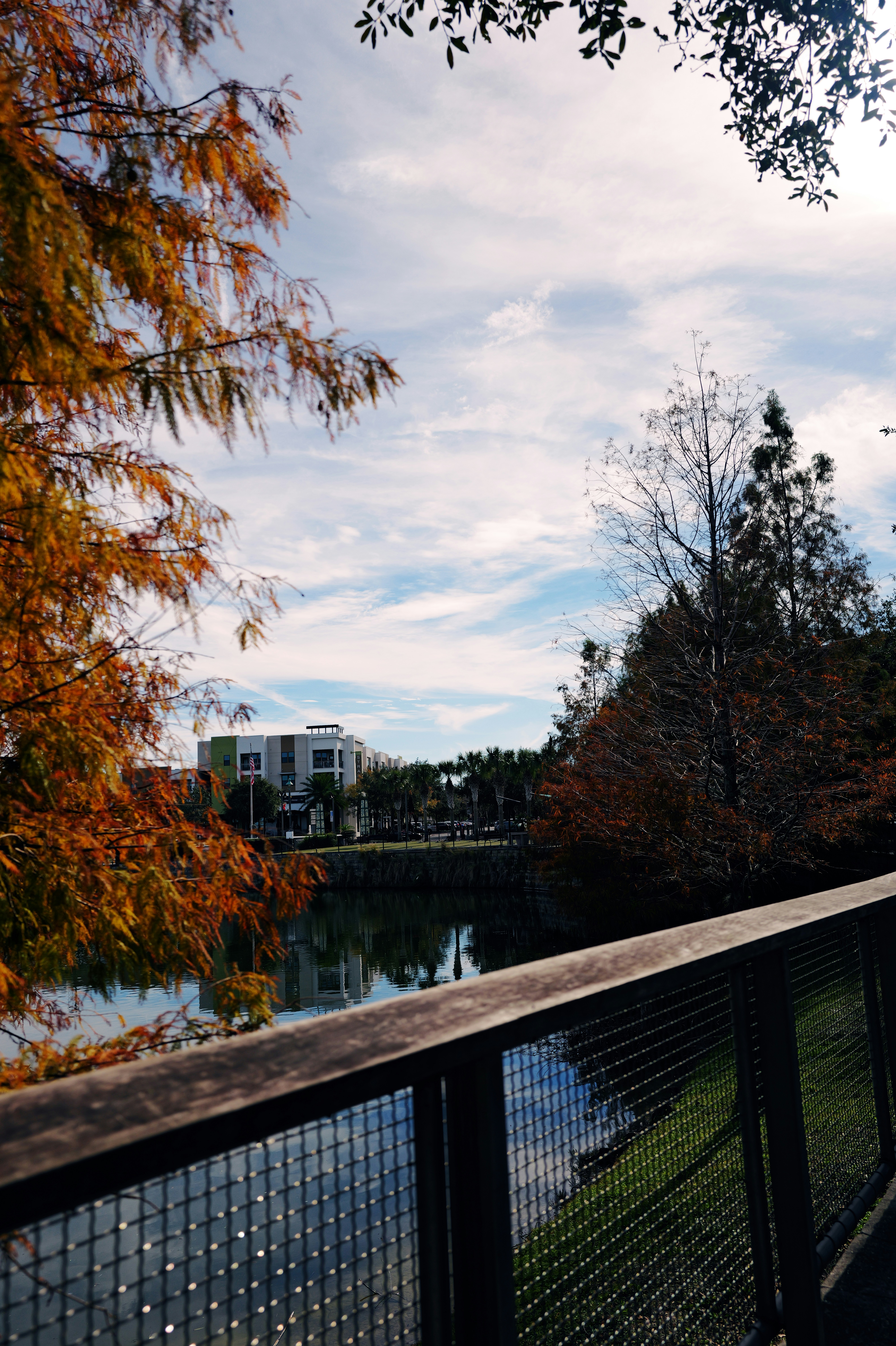 A person riding a skateboard on a bridge over a river