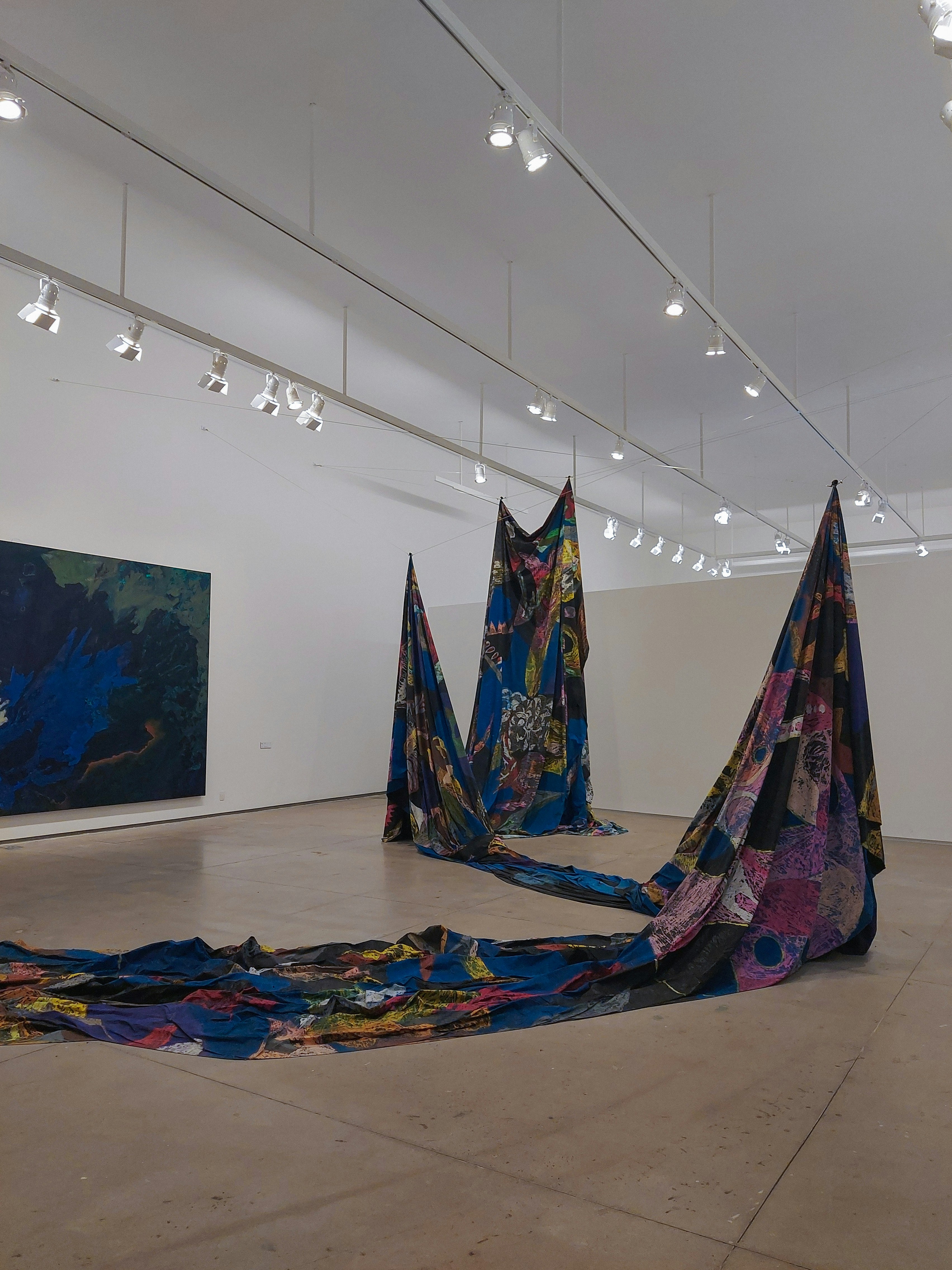 Contemporary art installation with suspended colorful fabric elements, gallery space, soft diffused natural light