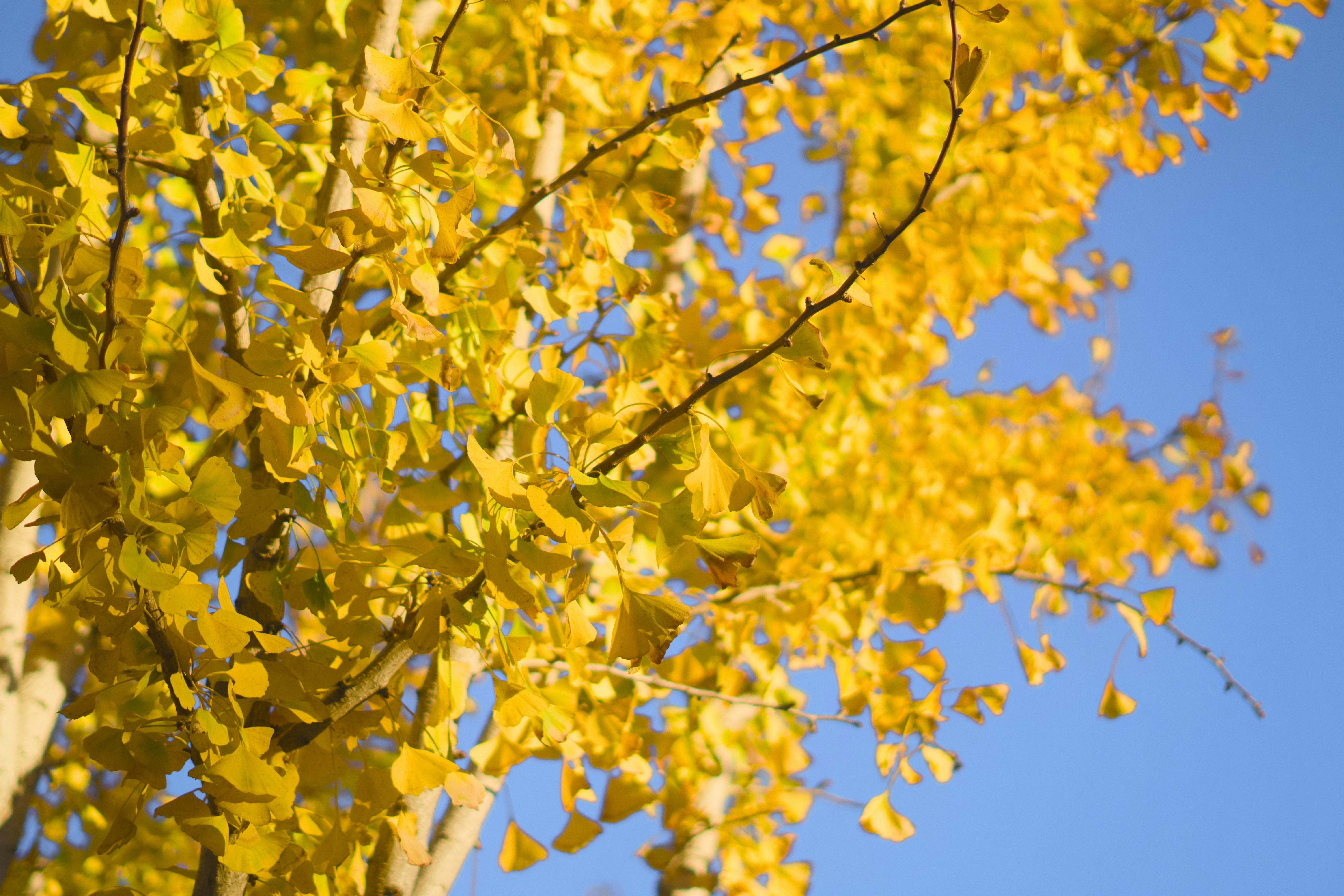 Photo by spencer_demera