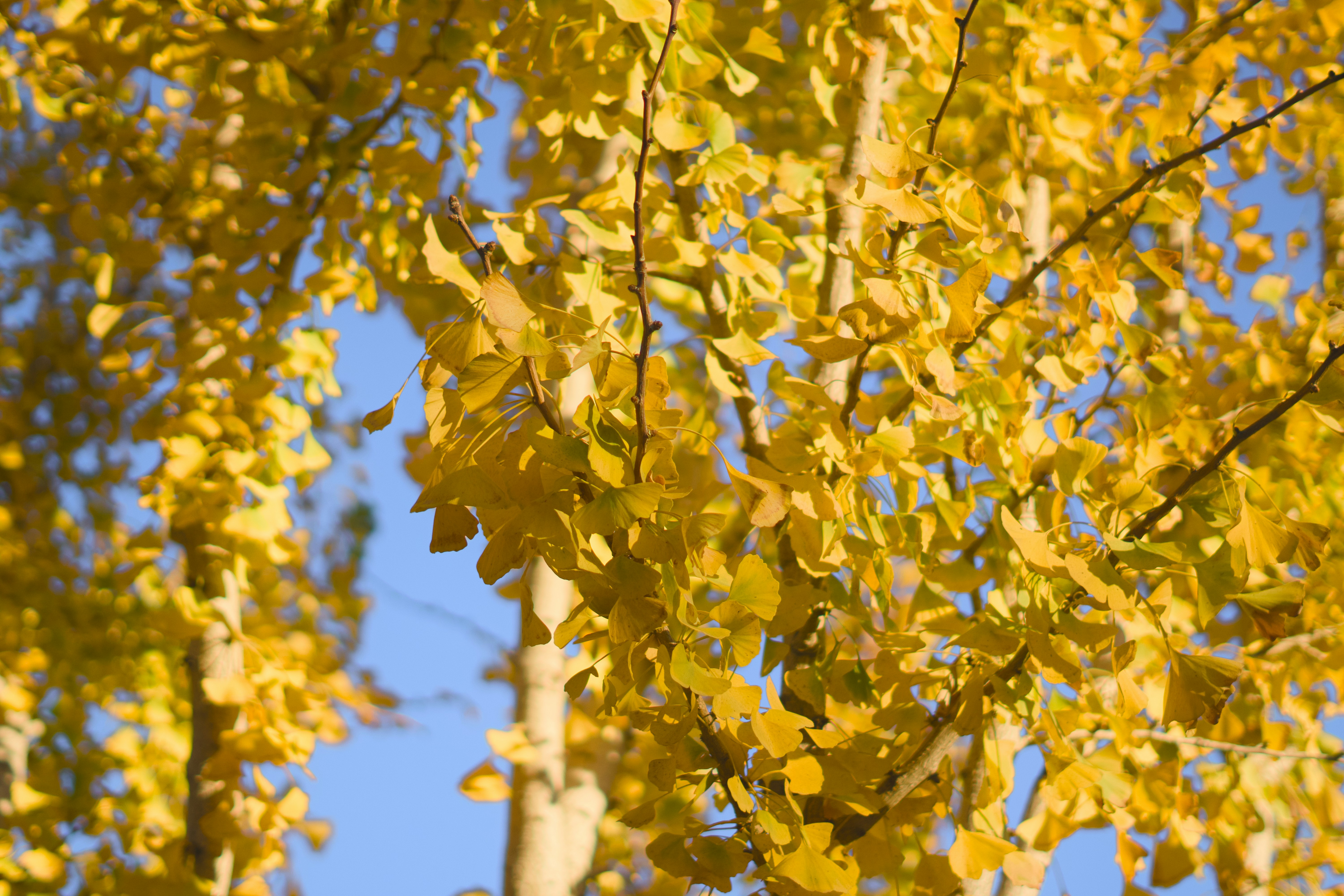 Photo by spencer_demera