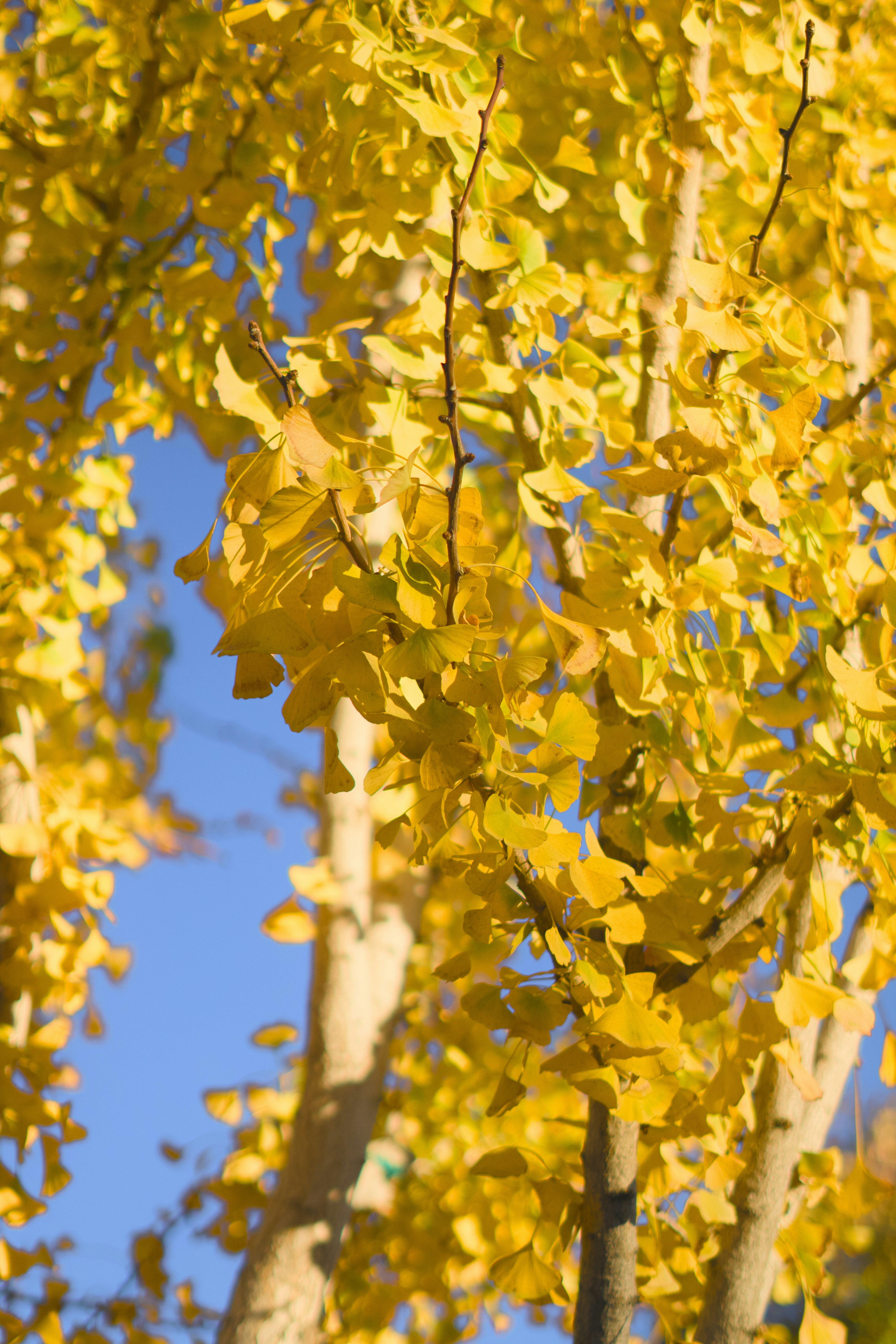 Photo by spencer_demera