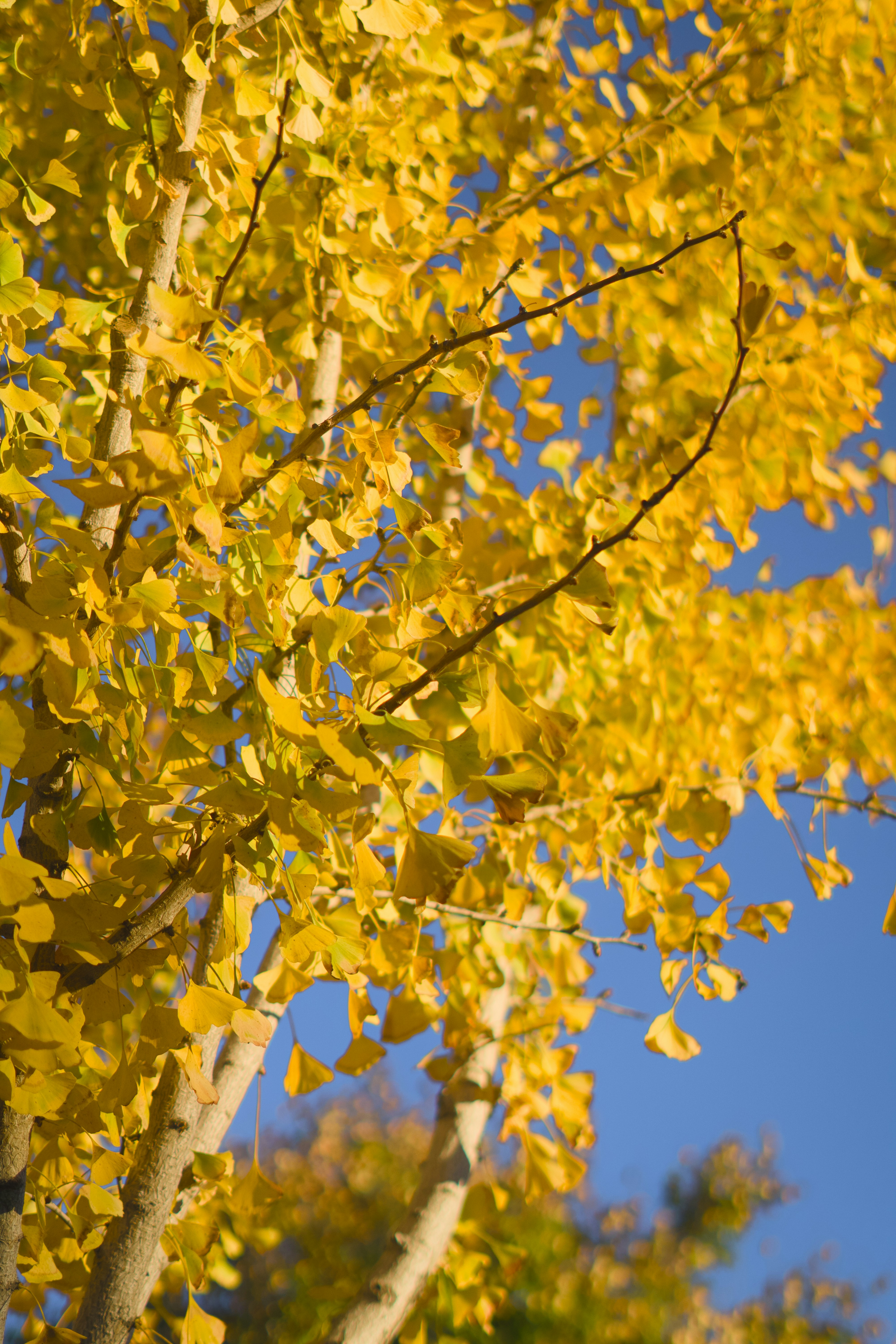 Photo by spencer_demera