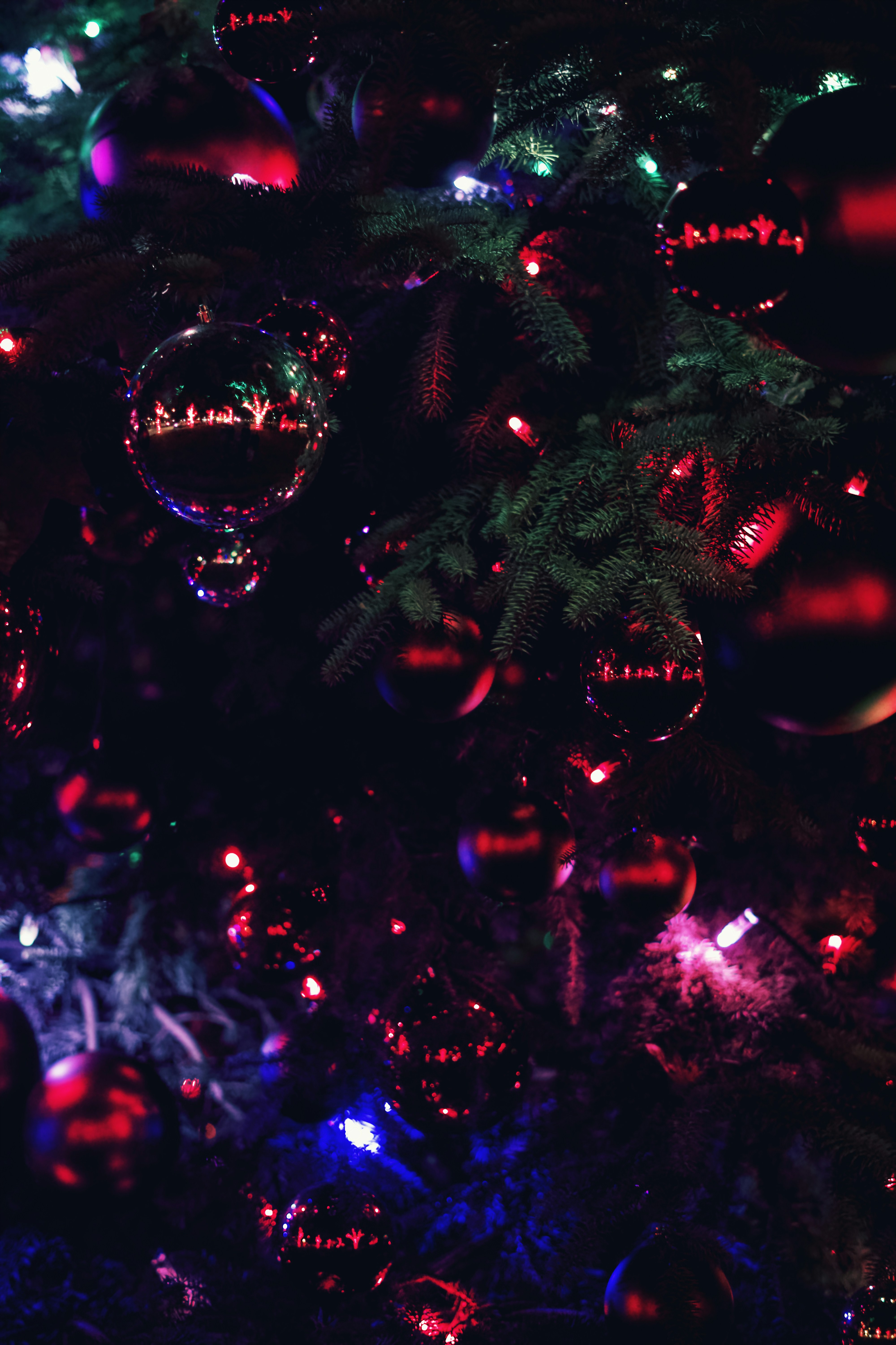 Photo by spencer_demera