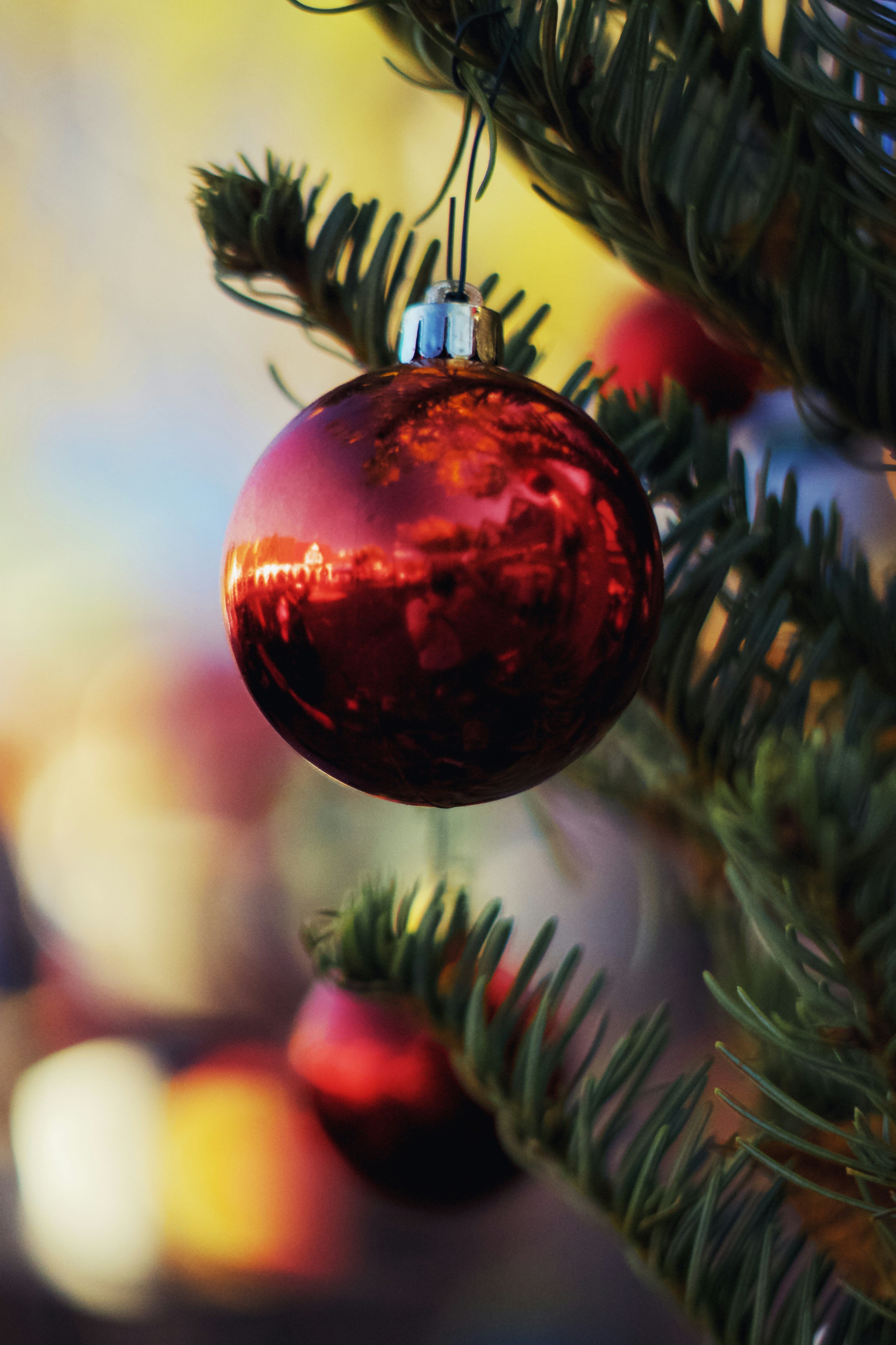 Photo by spencer_demera