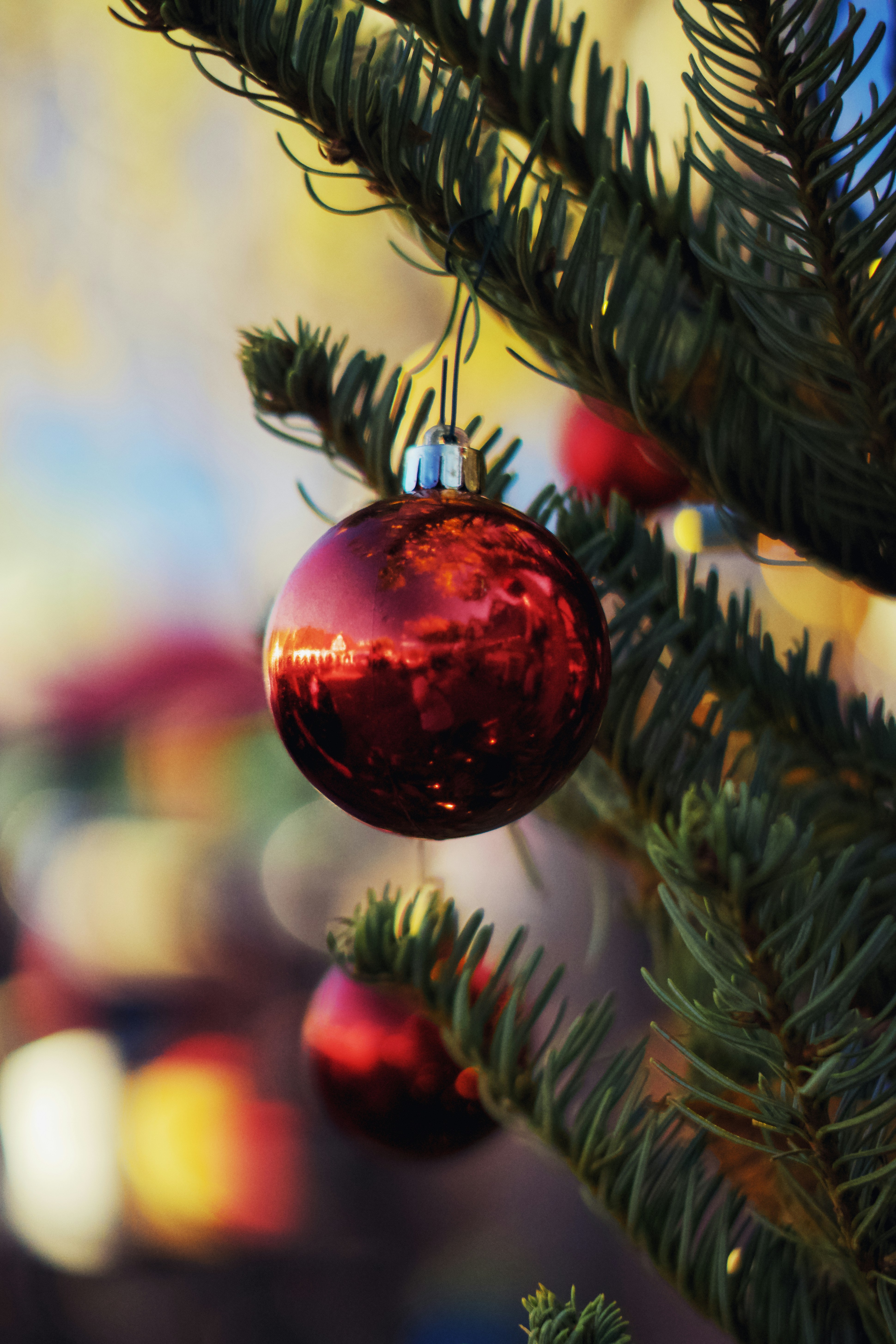 Photo by spencer_demera