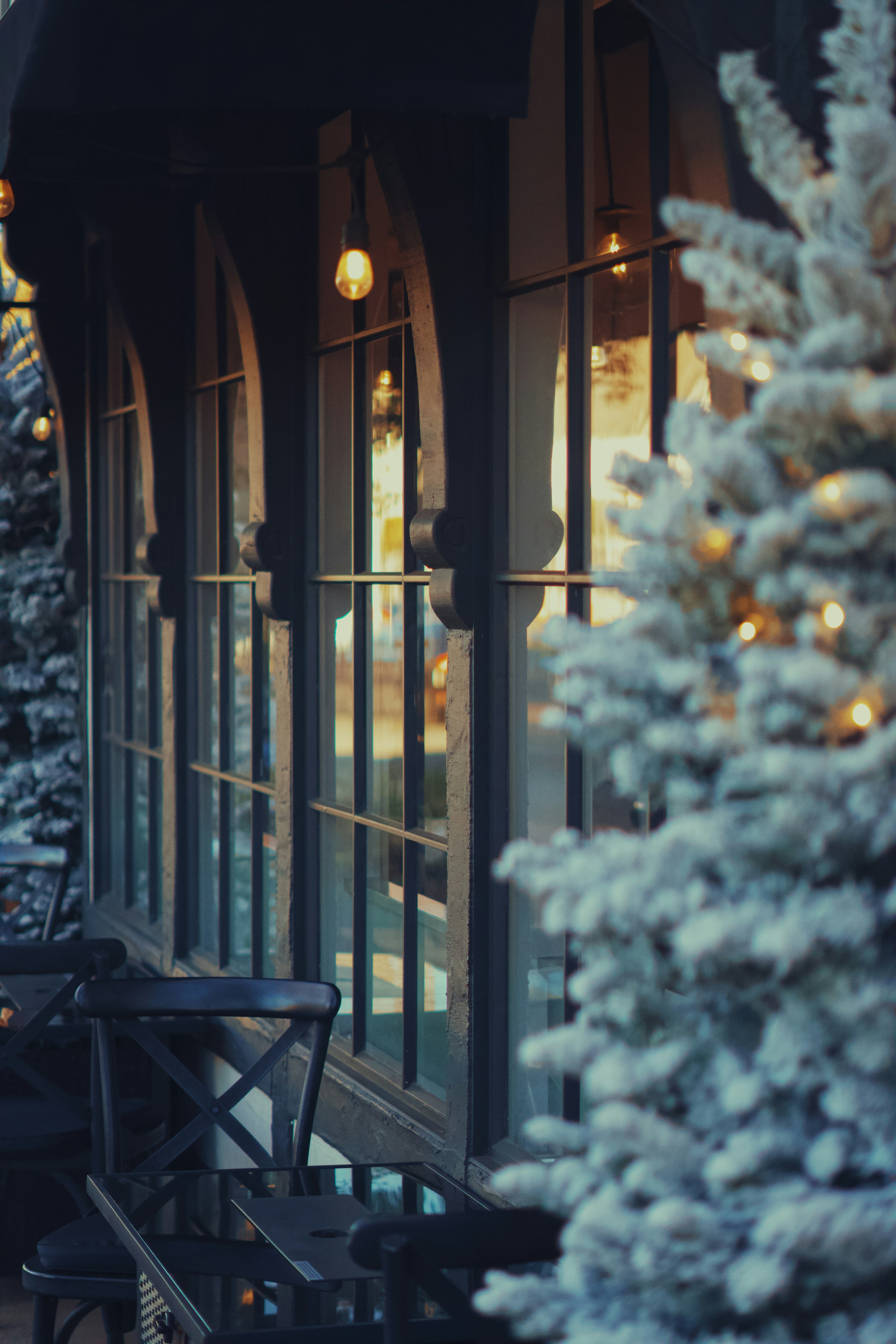 Una estación de tren cubierta de árboles de Navidad y luces foto – Imagen  de Navidad gratuita en Unsplash, image size:3000x4500