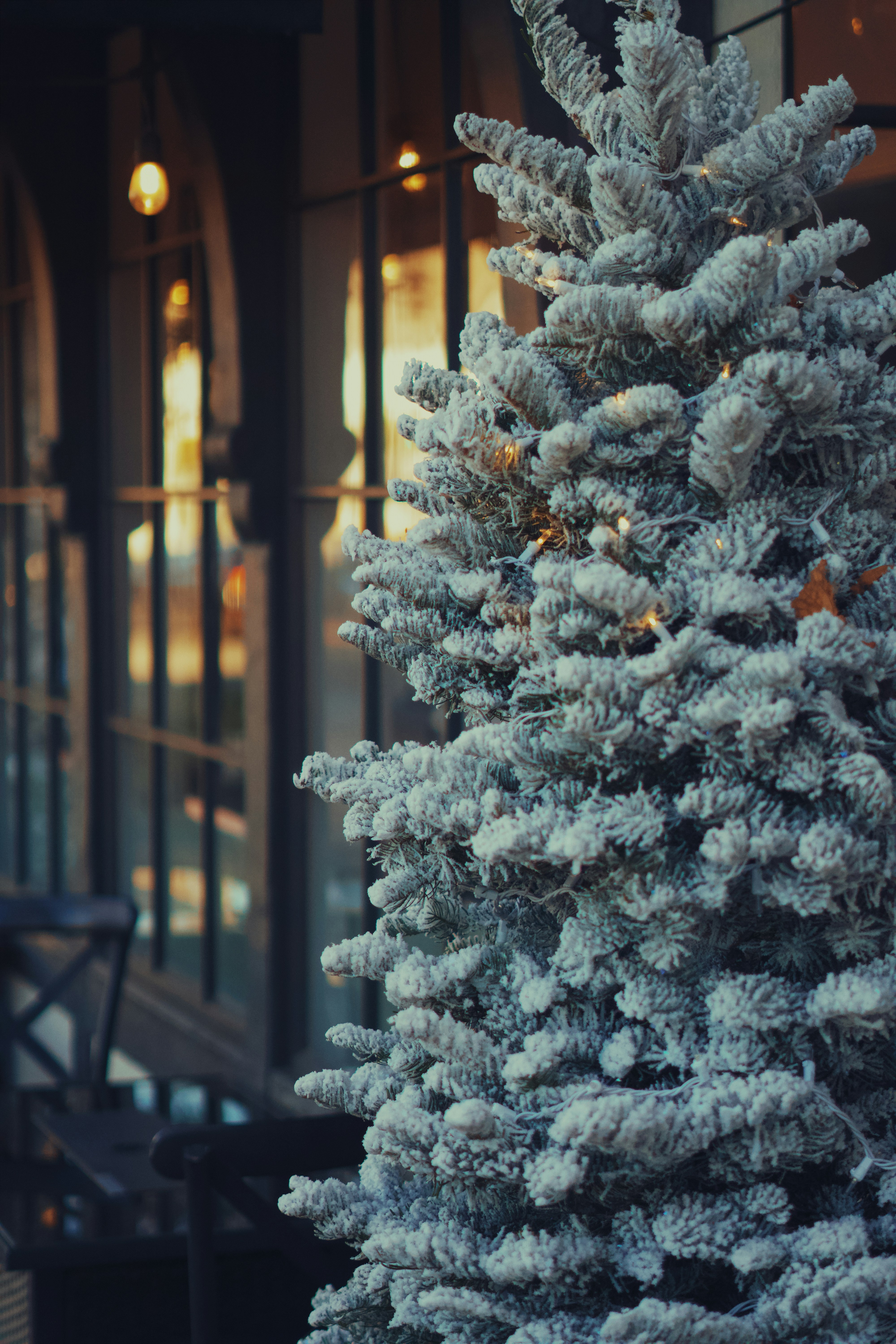 Photo by spencer_demera