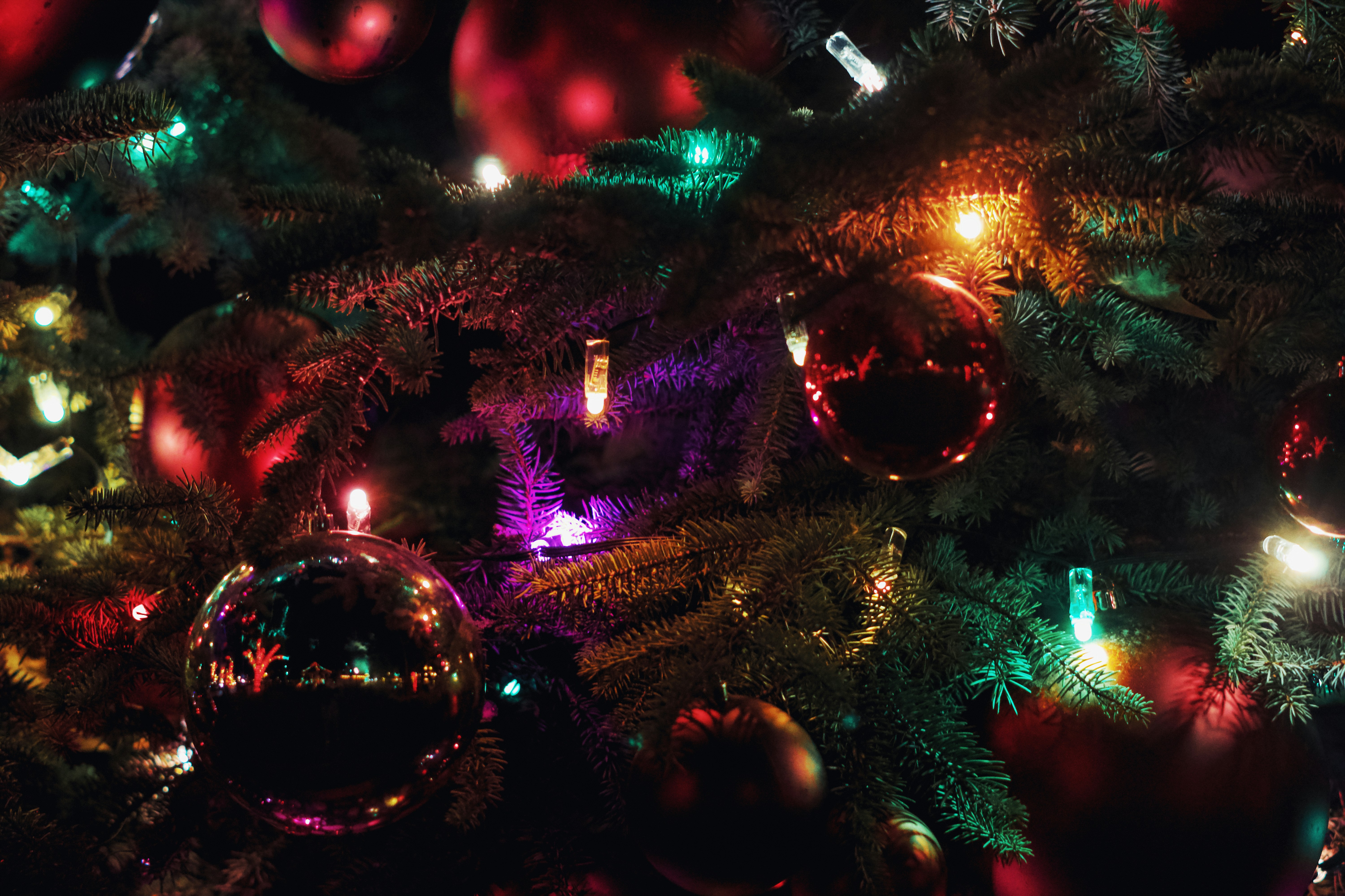 A close up of a christmas tree with lights, 