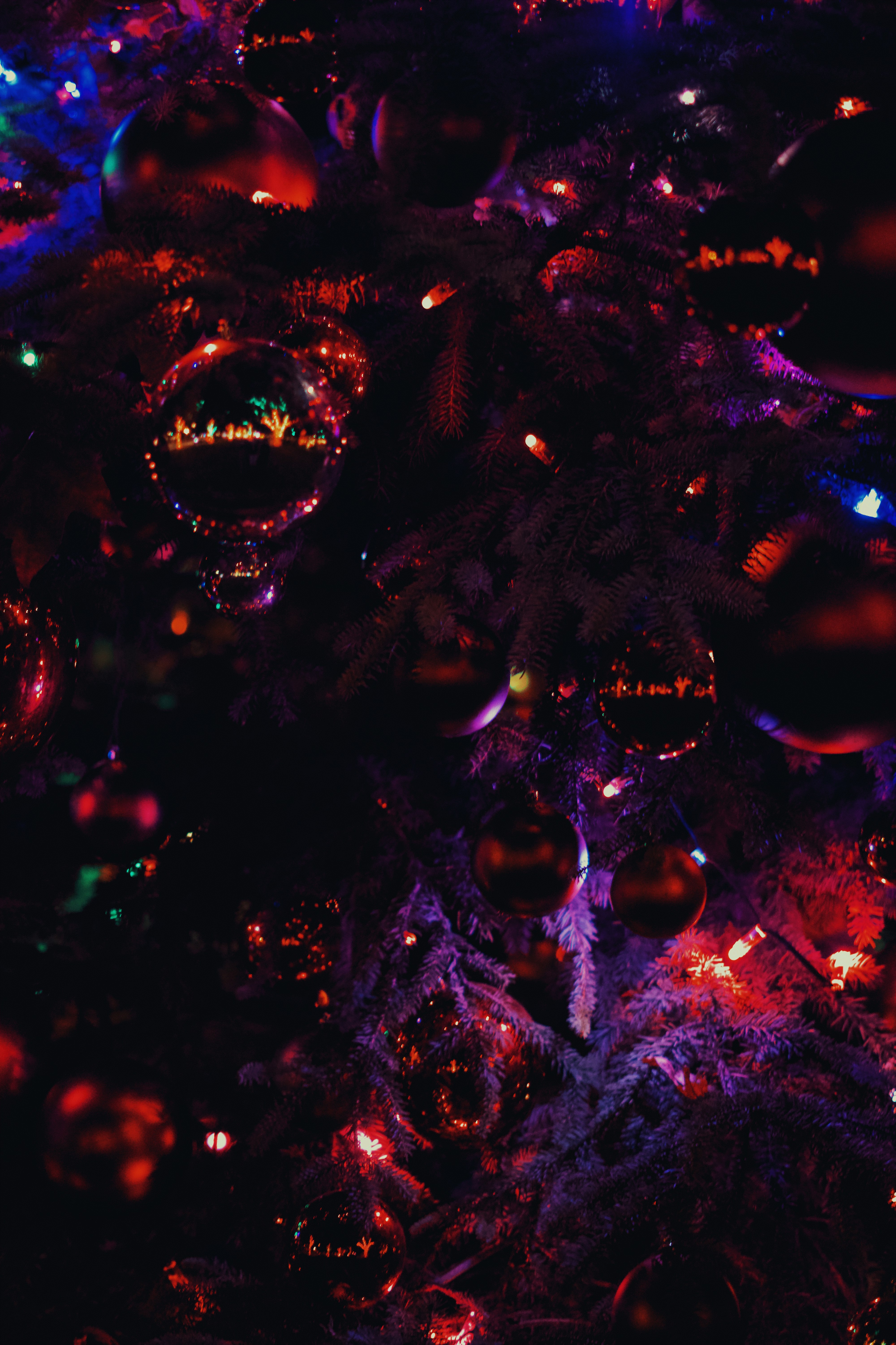 Photo by spencer_demera