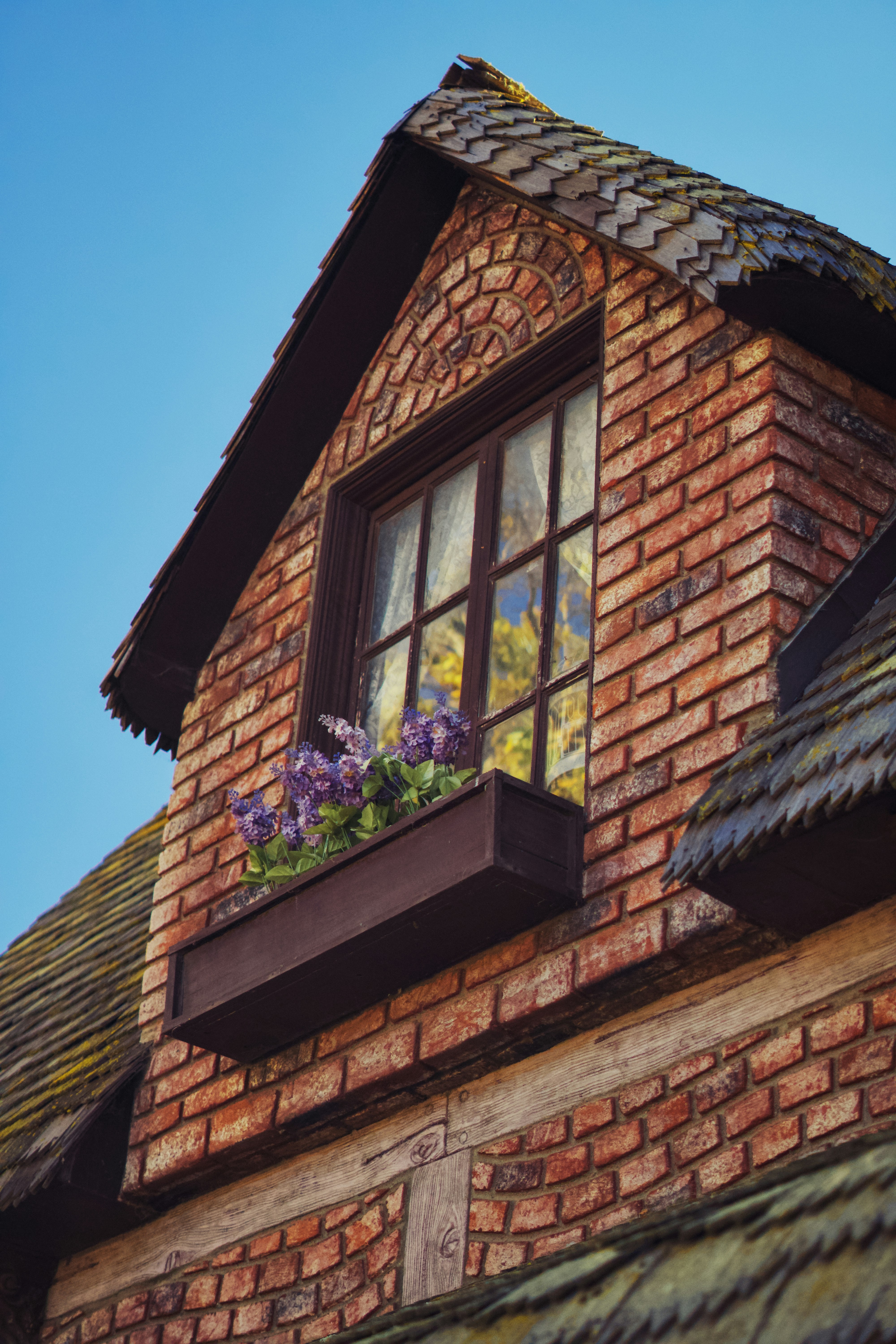 Photo by spencer_demera