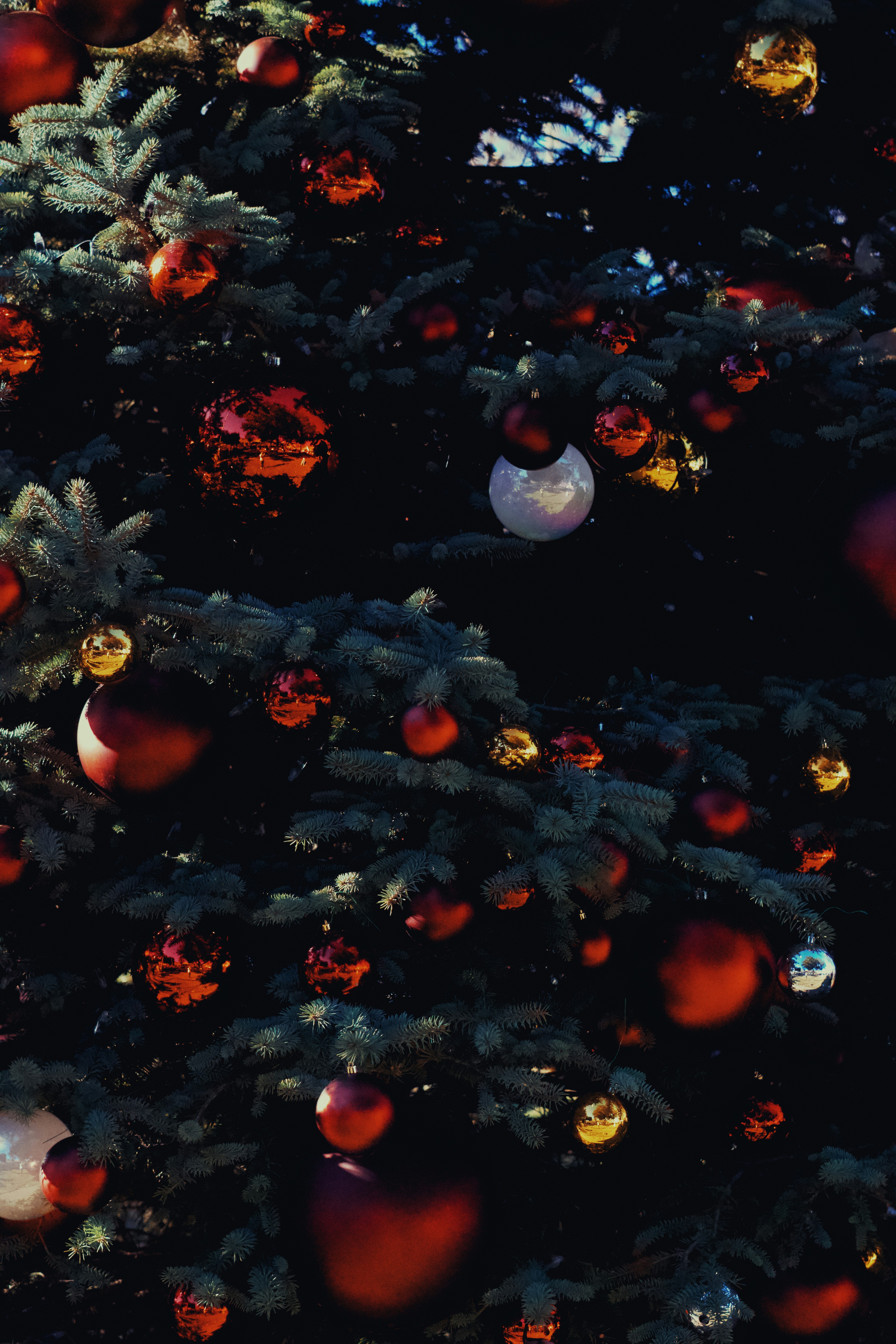 Photo by spencer_demera