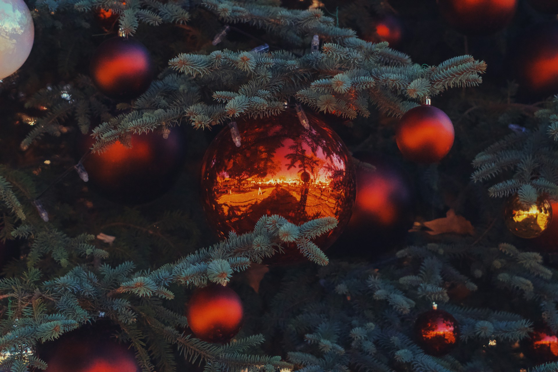 A close up of a christmas tree with ornaments