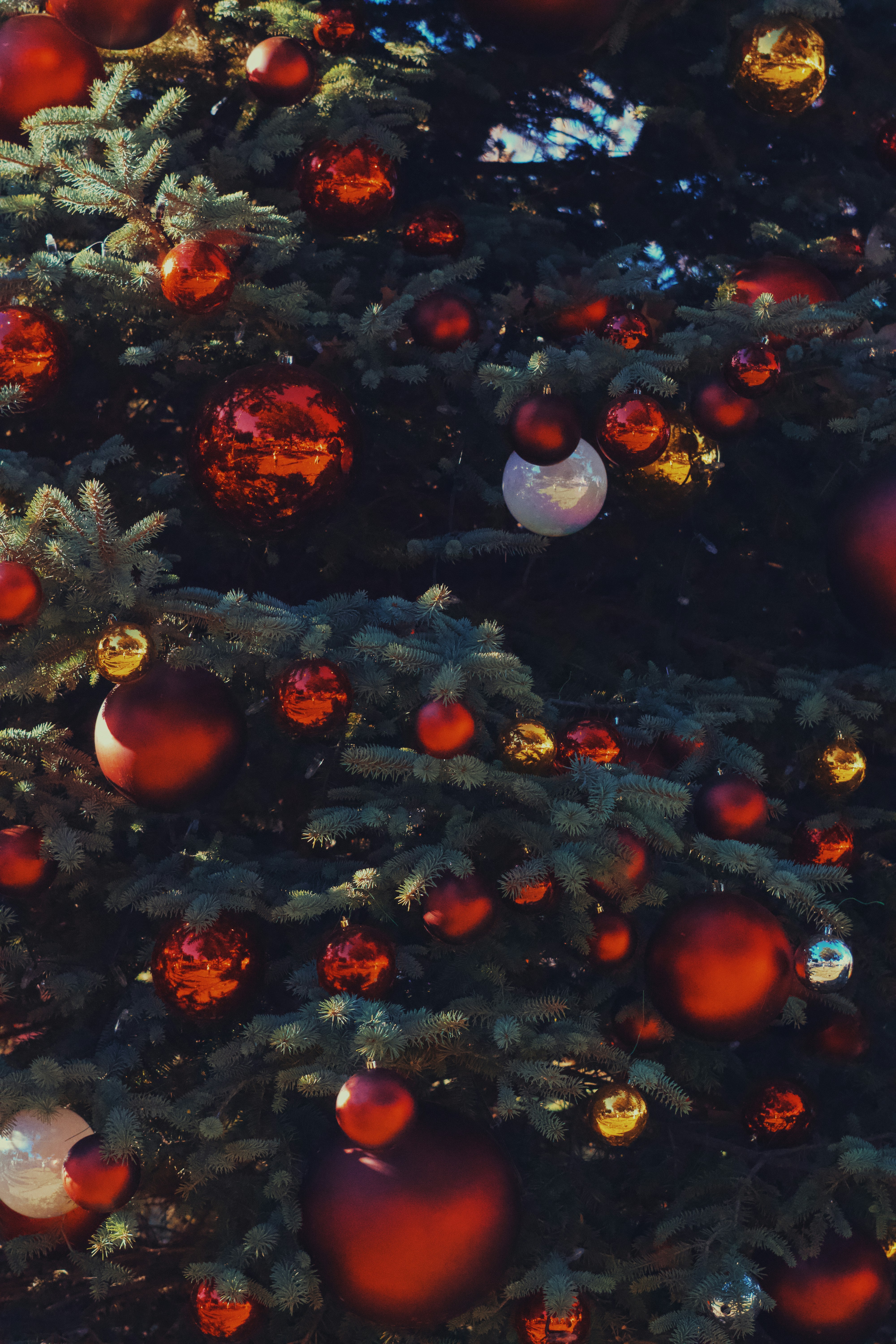 Photo by spencer_demera