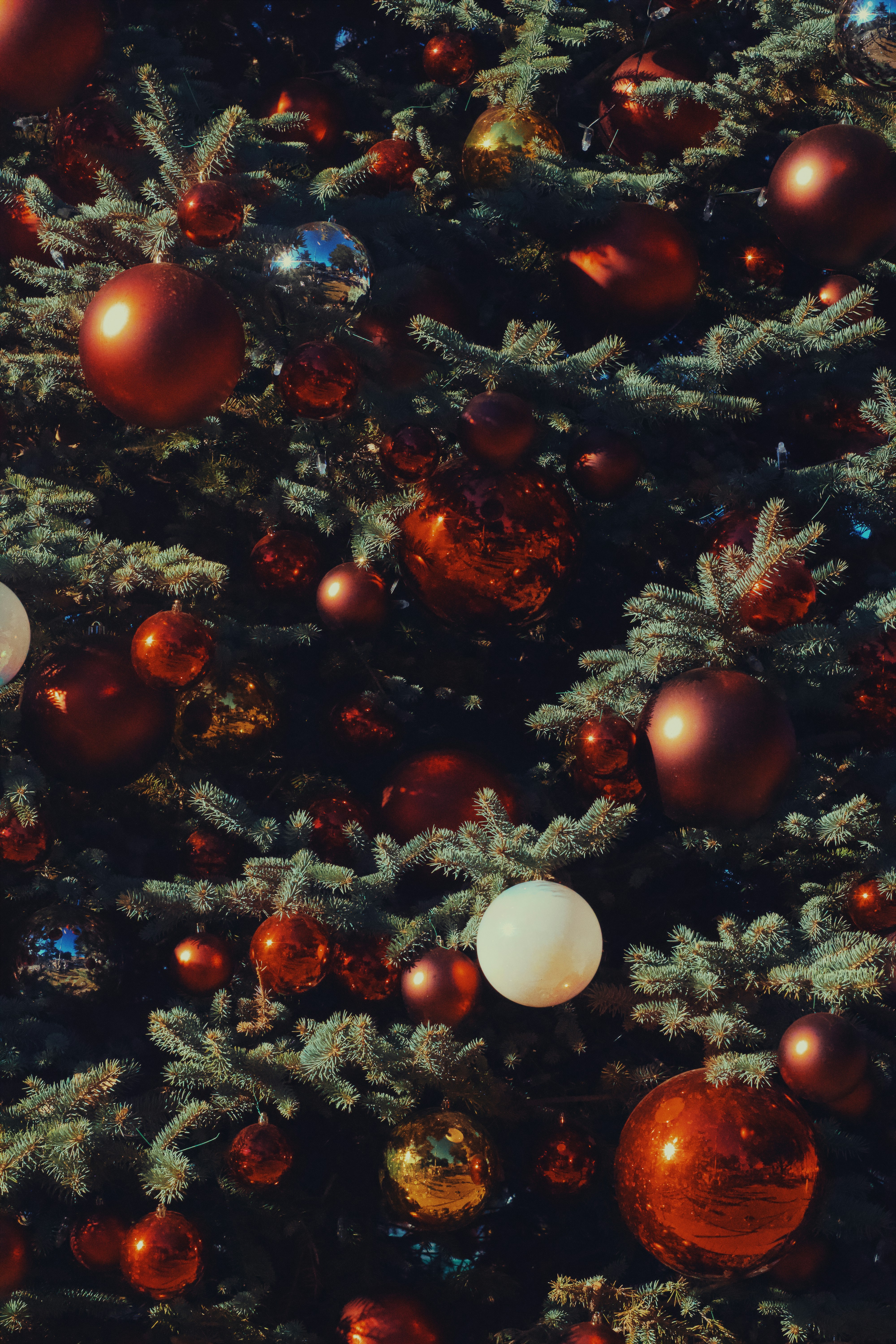 Photo by spencer_demera