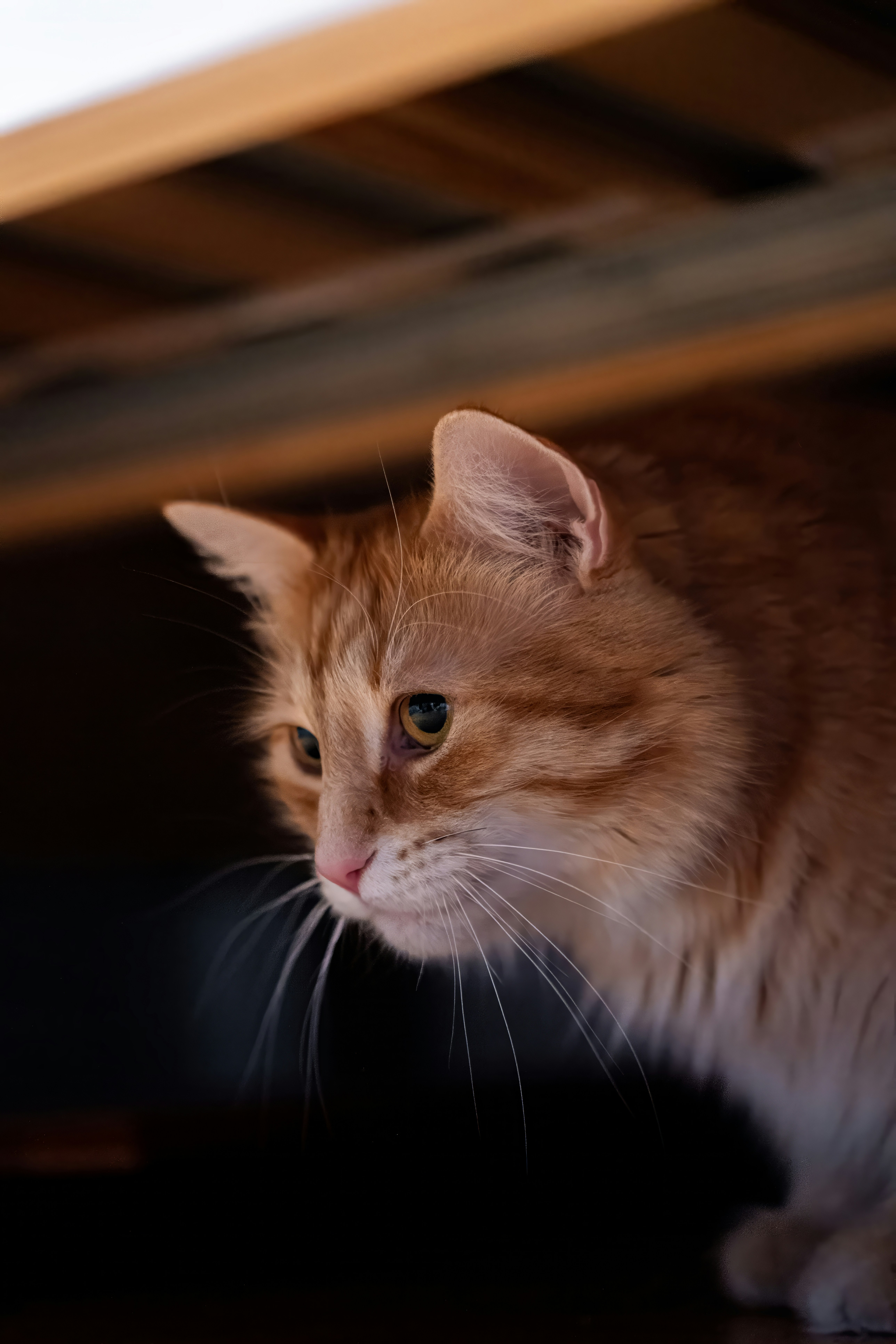 Photo by alexandredaoust