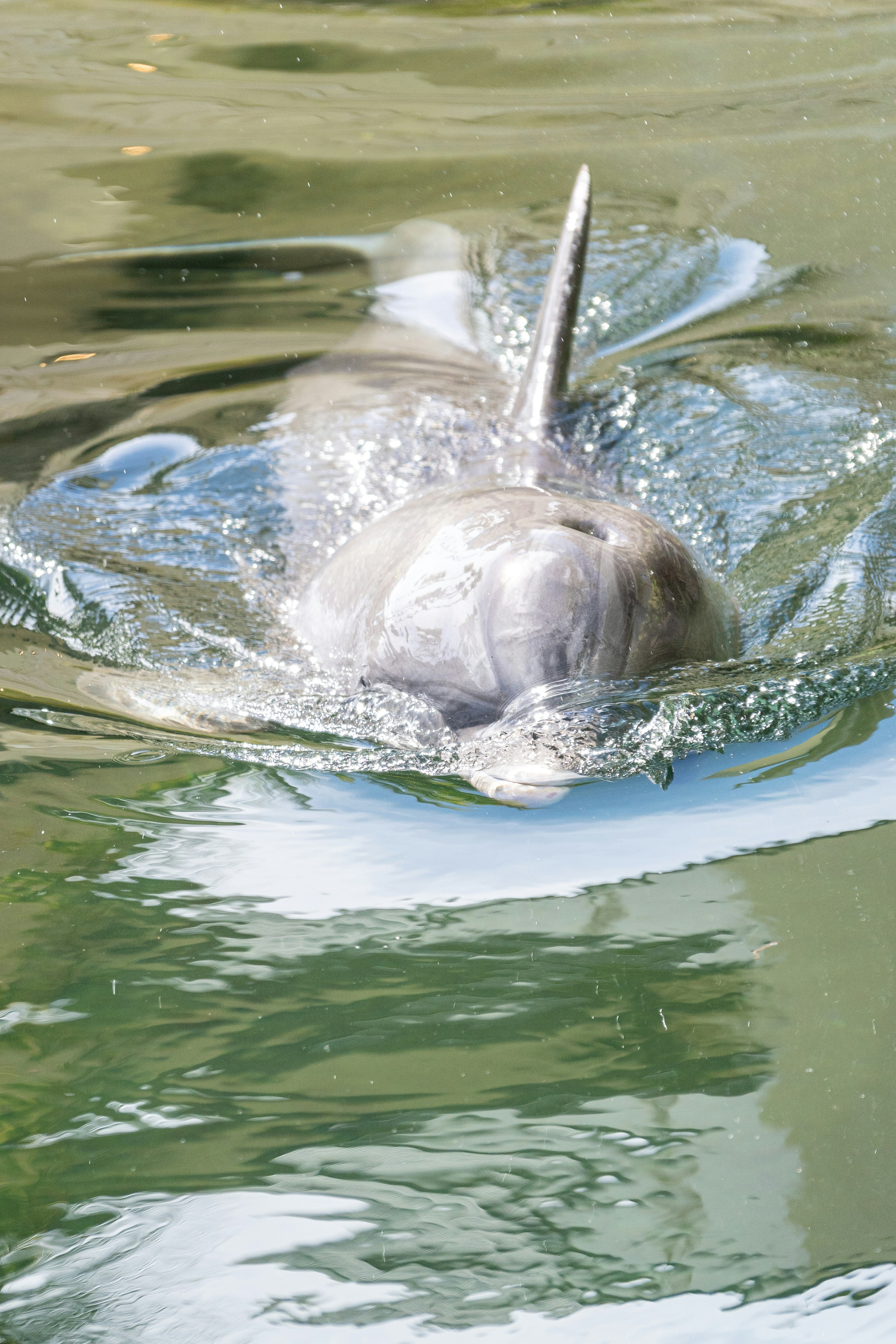 Photo by winstonchen