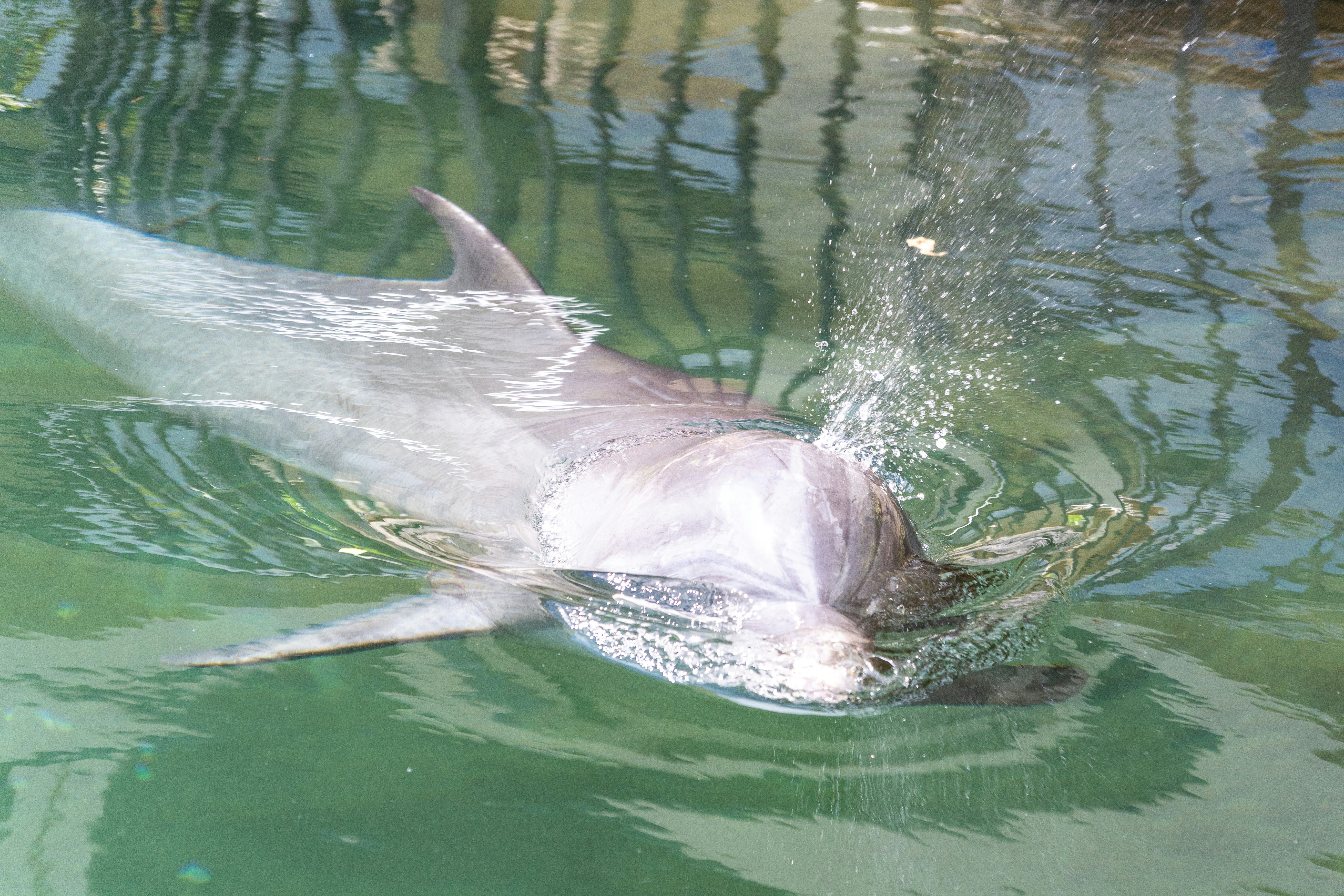 Photo by winstonchen