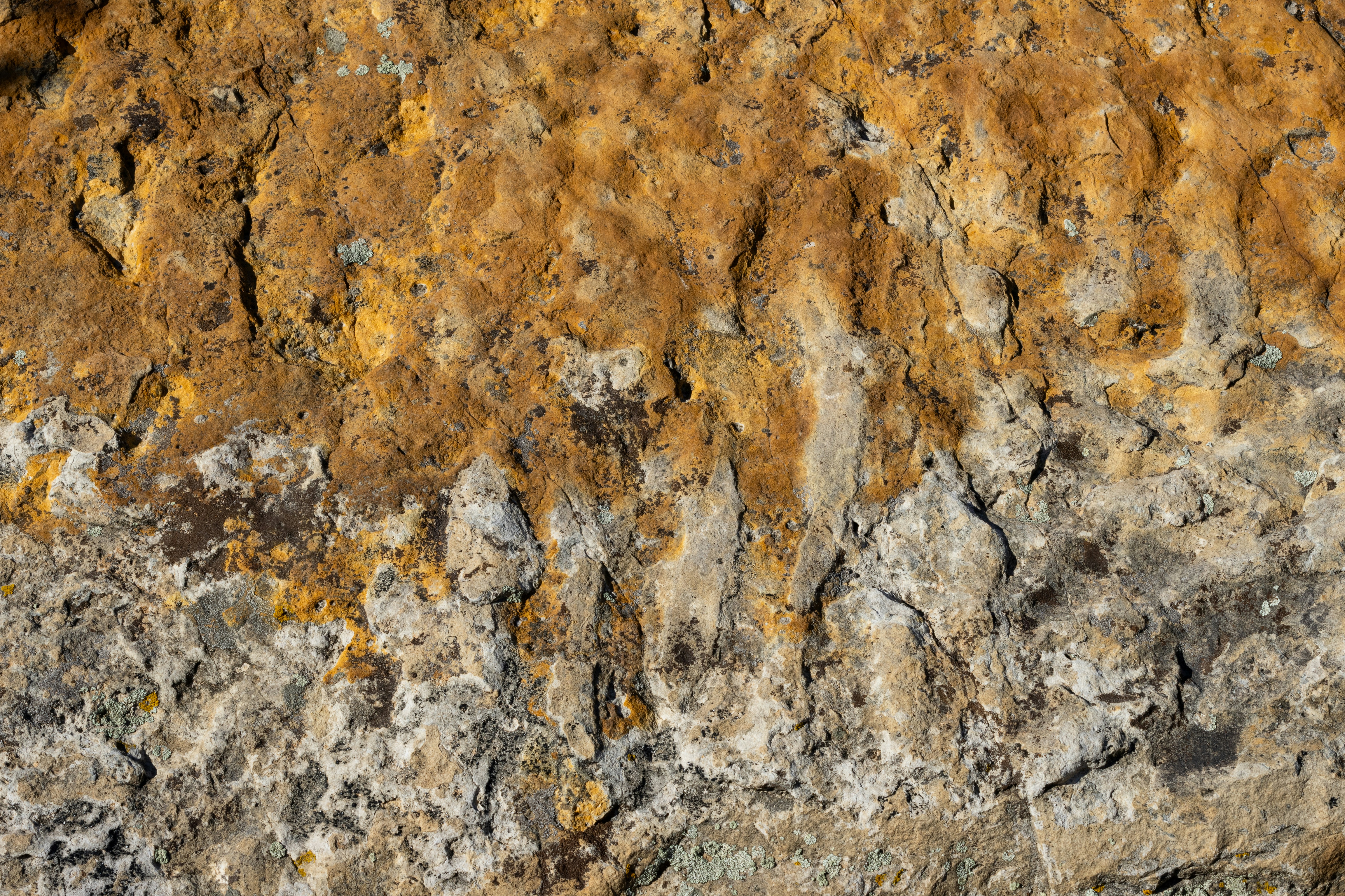 Photo by brandonstoll