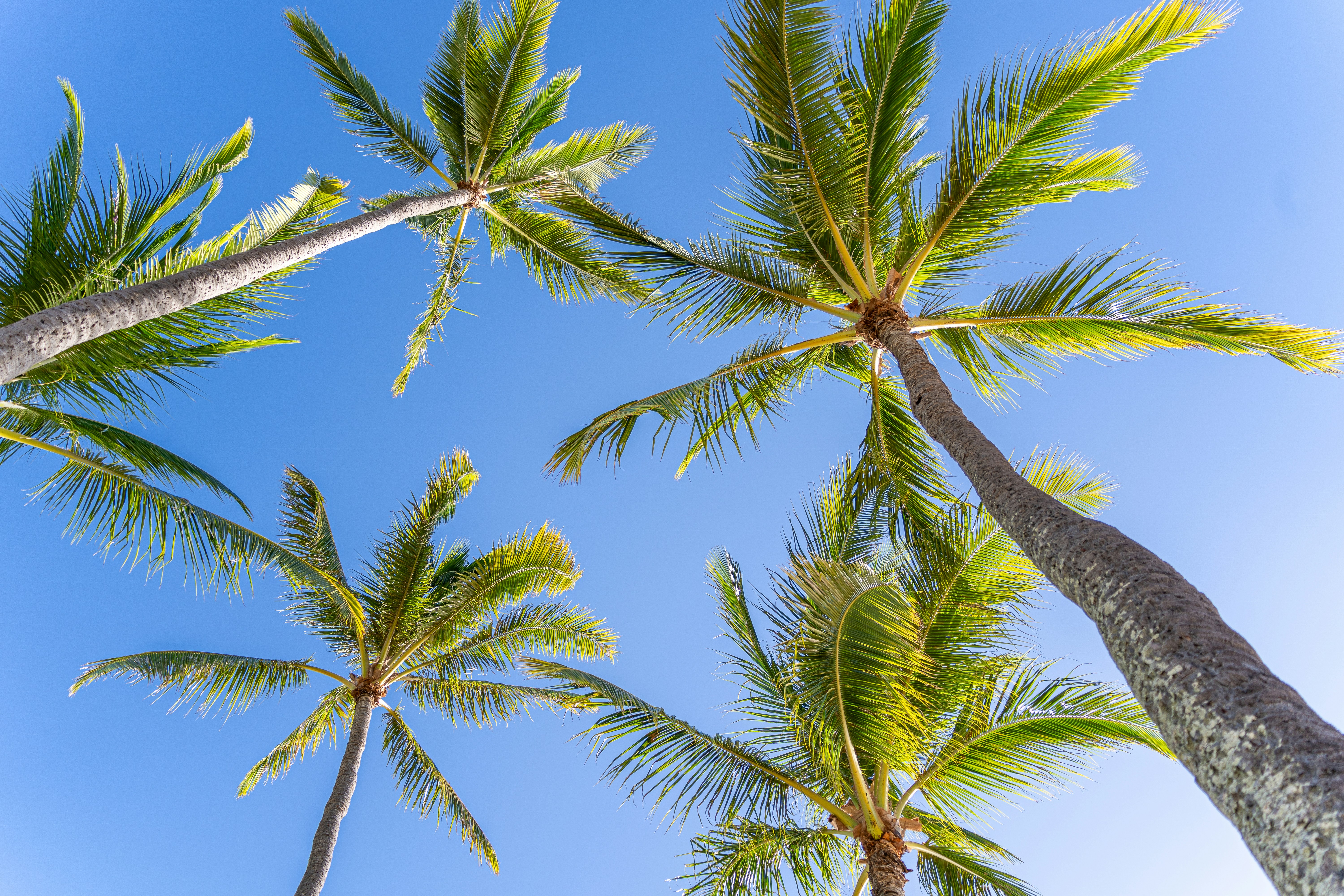 Photo by winstonchen