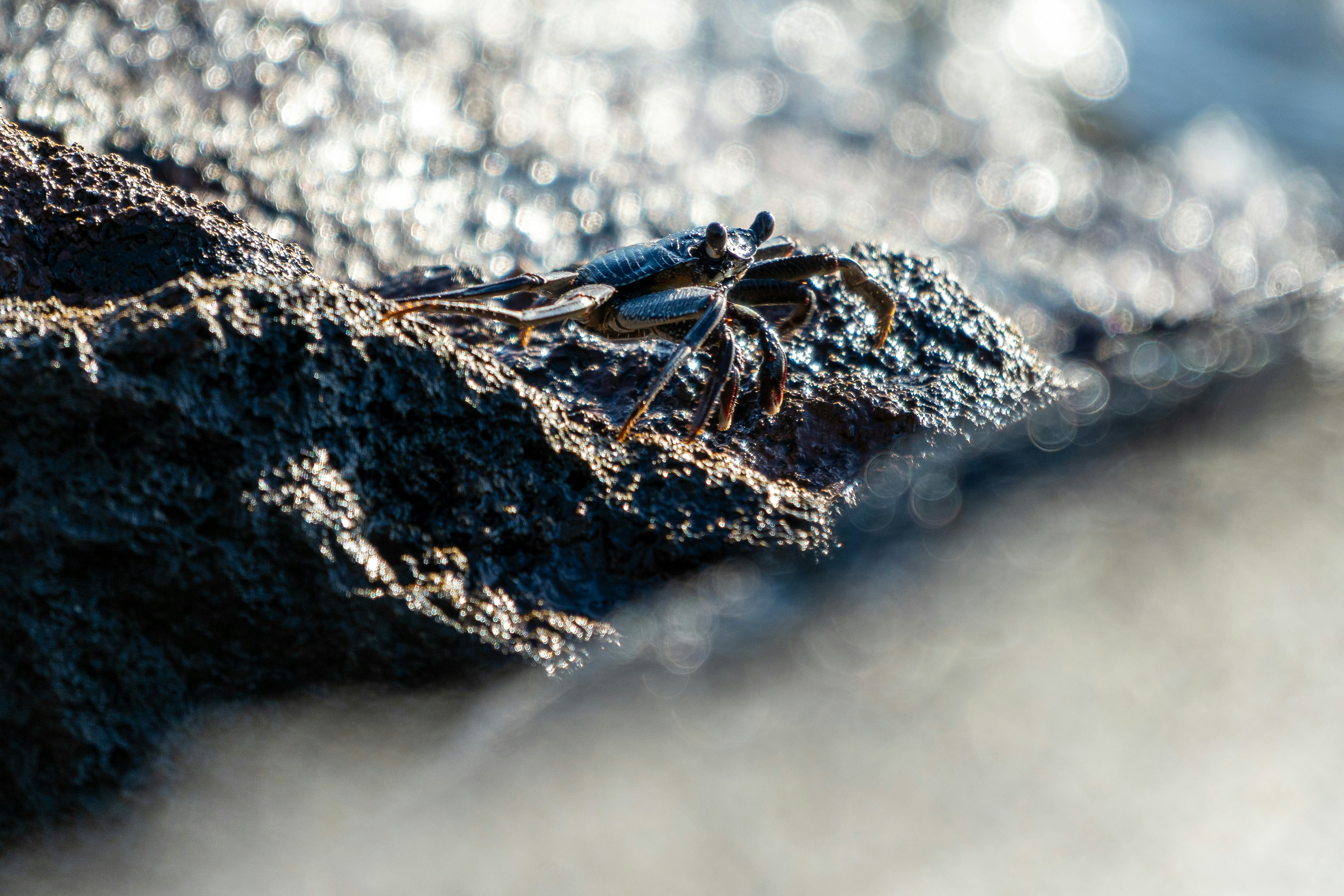 Photo by winstonchen