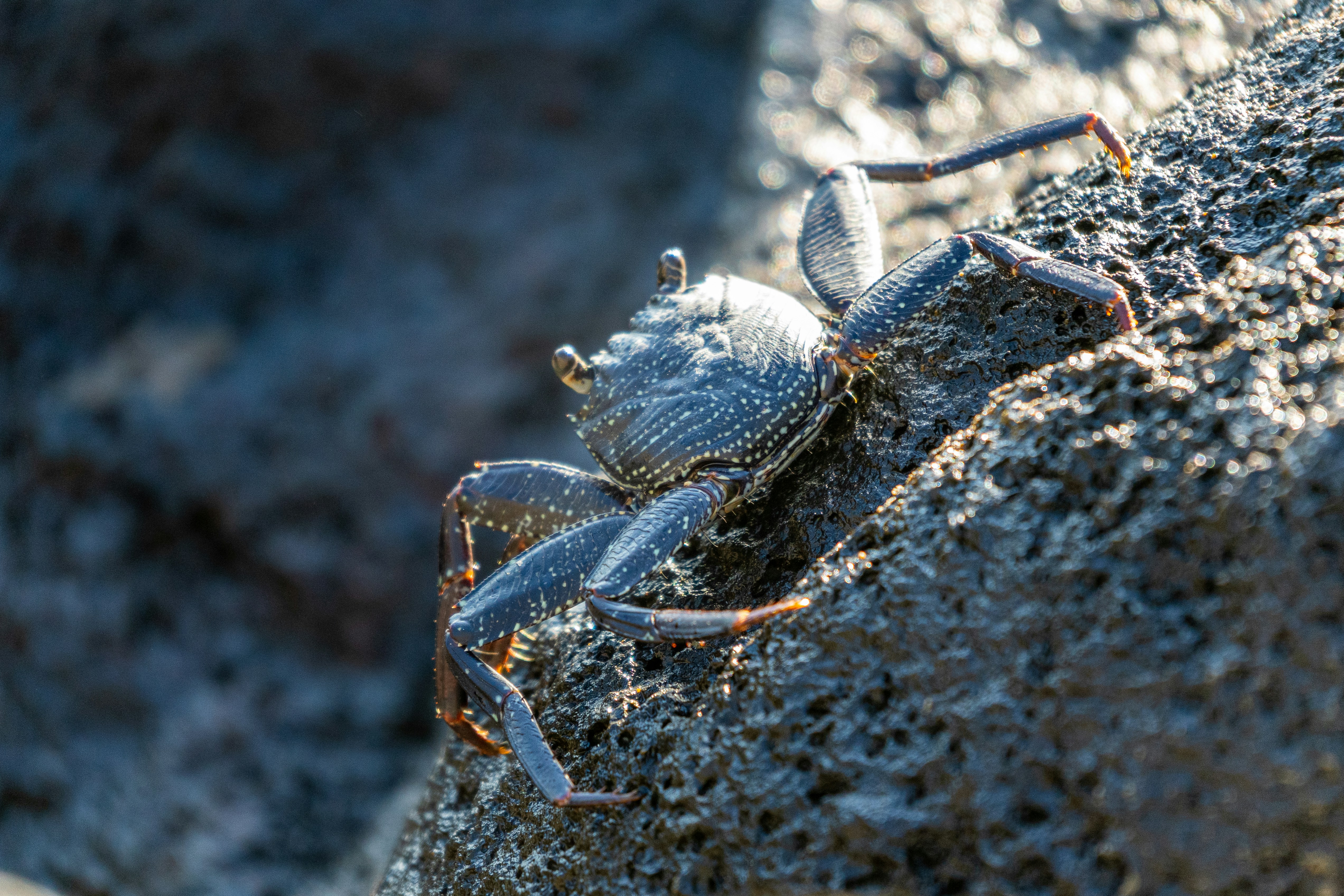 Photo by winstonchen