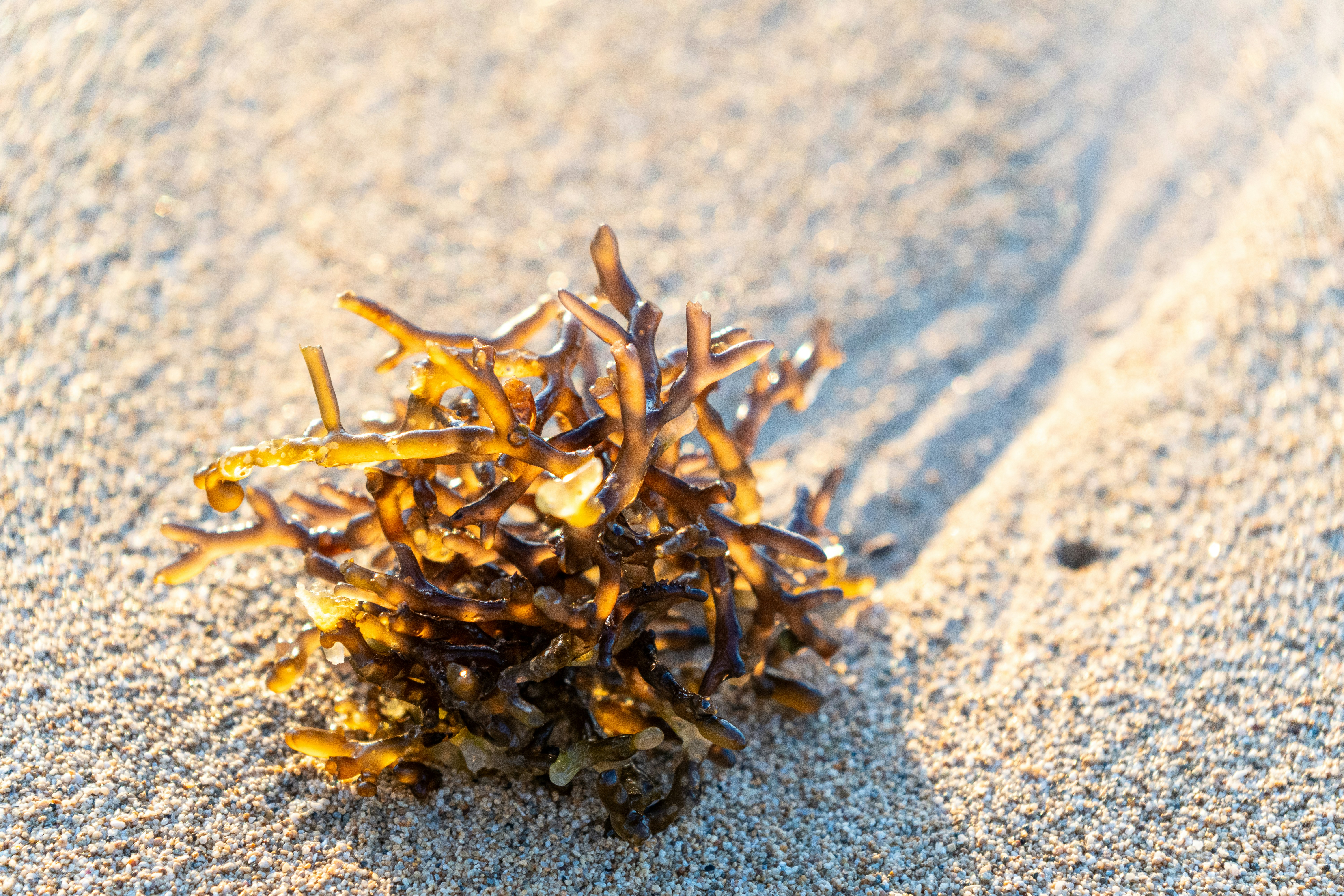 Photo by winstonchen