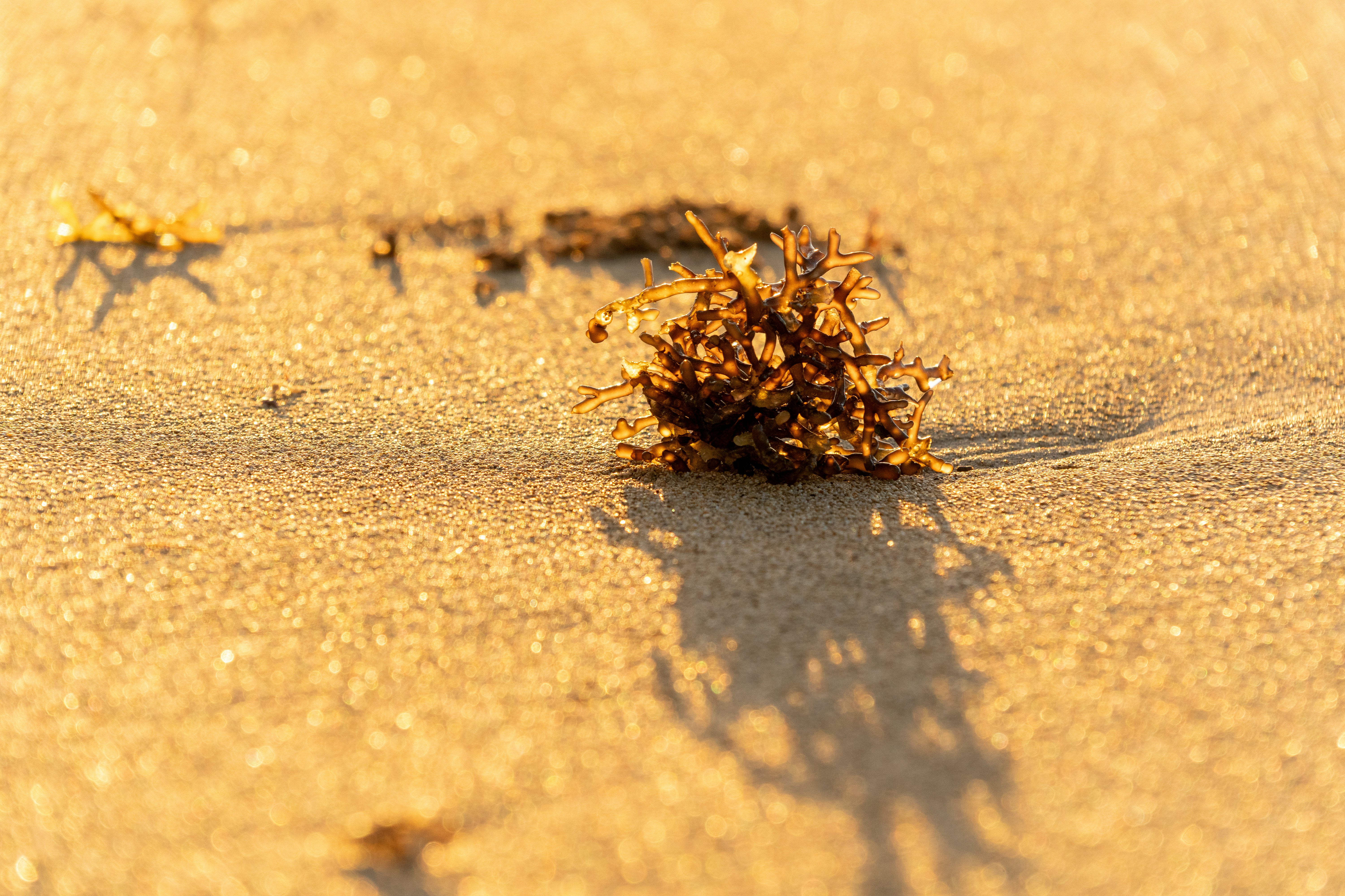 Photo by winstonchen