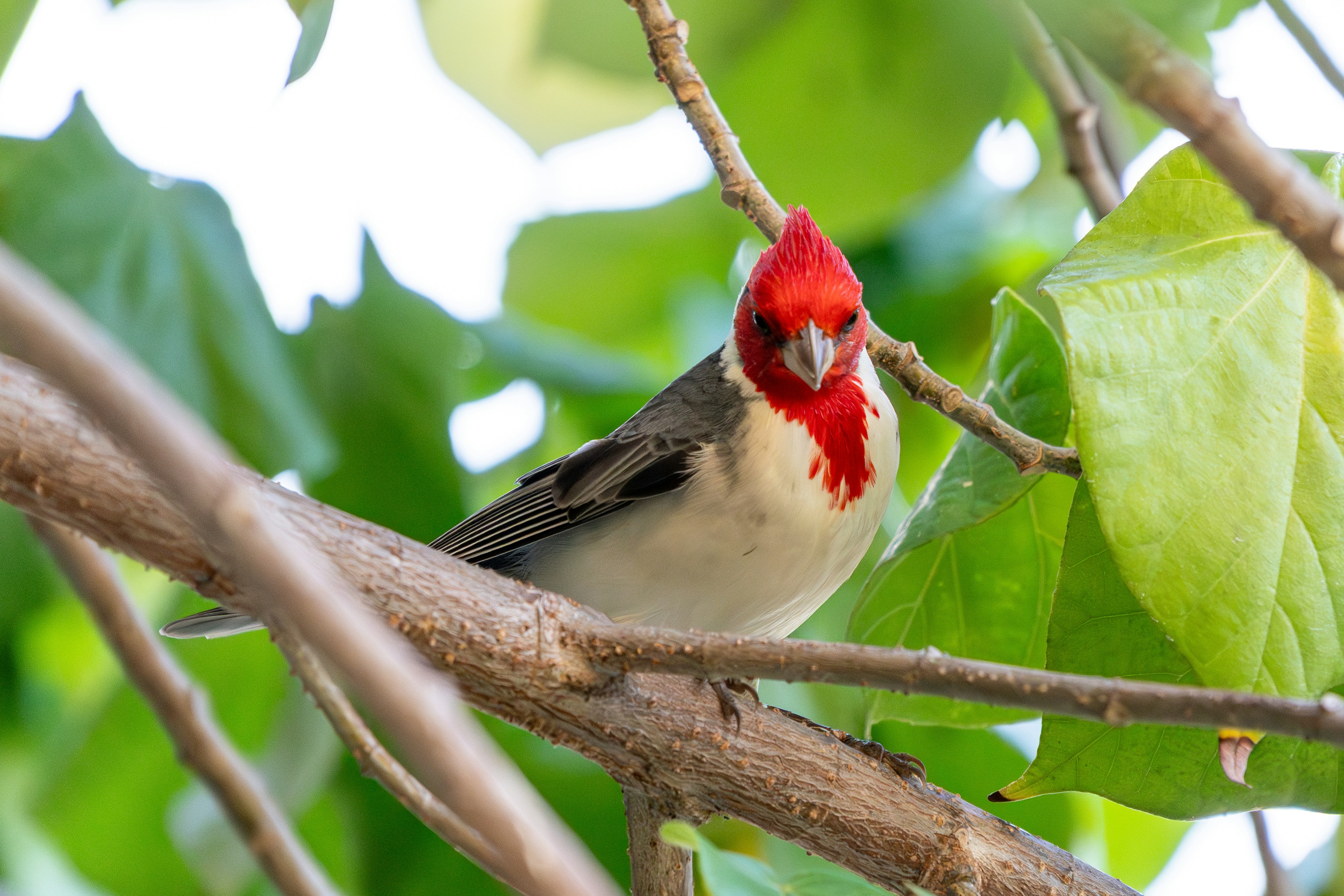 Photo by winstonchen