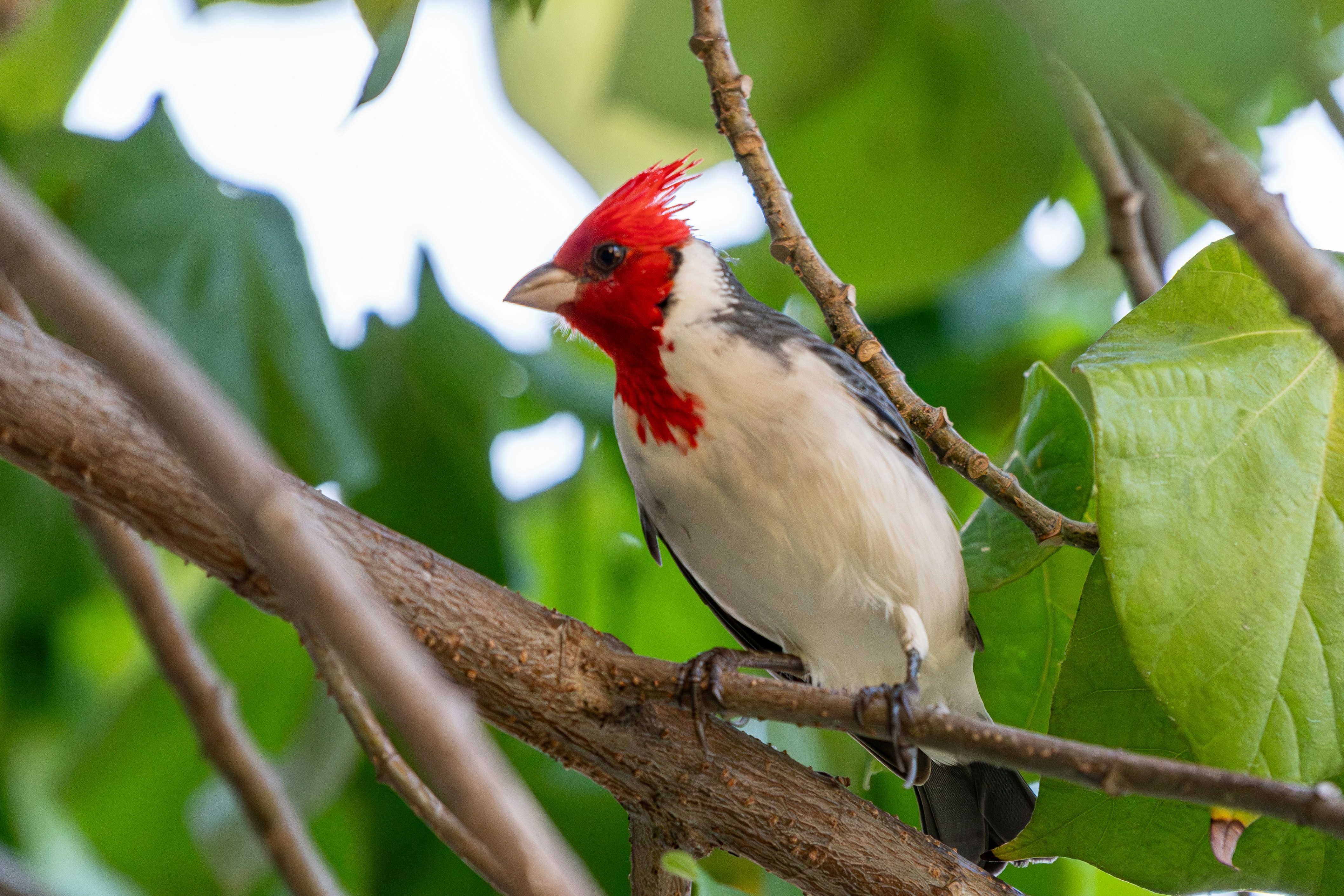 Photo by winstonchen