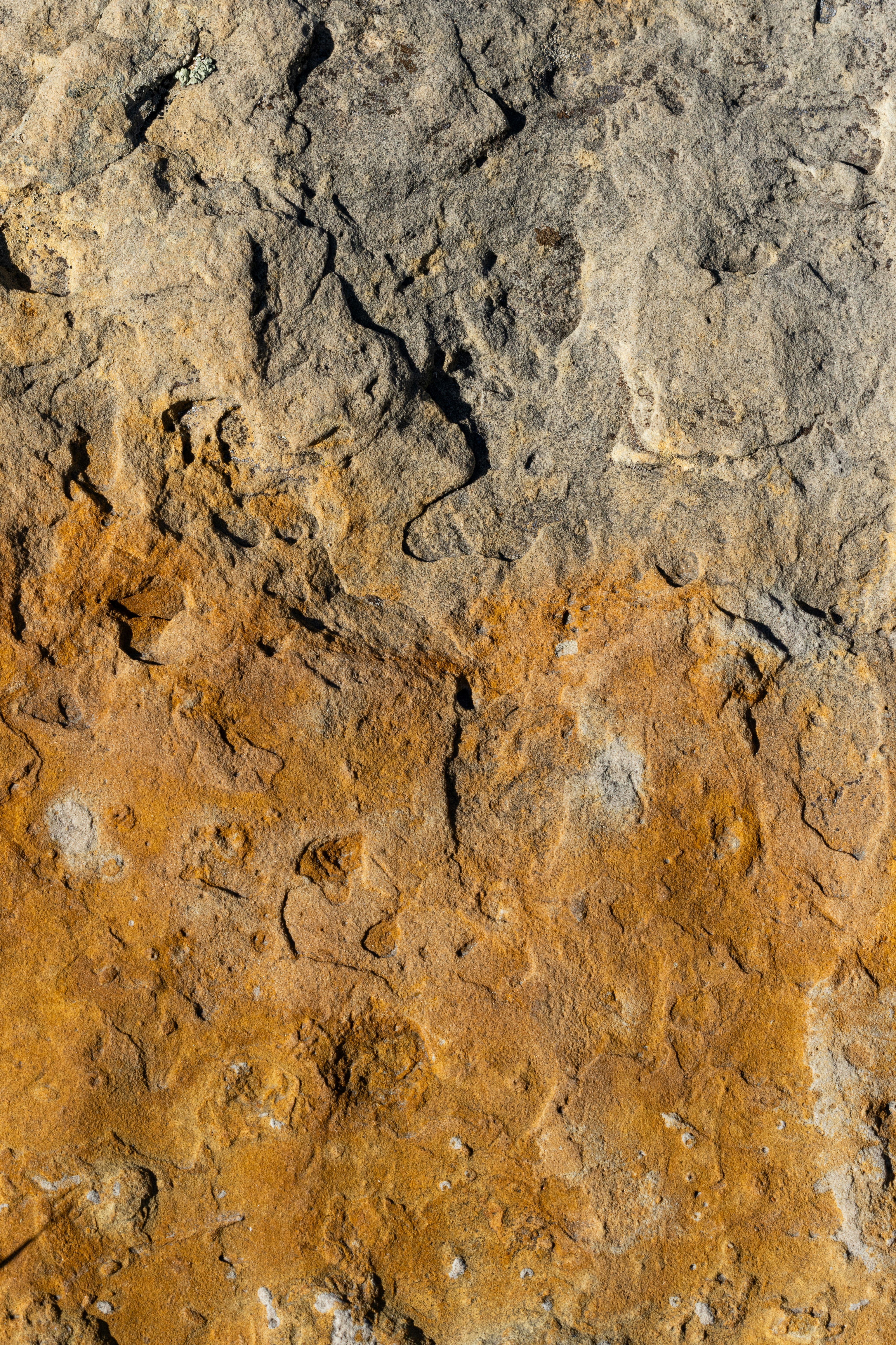 Photo by brandonstoll