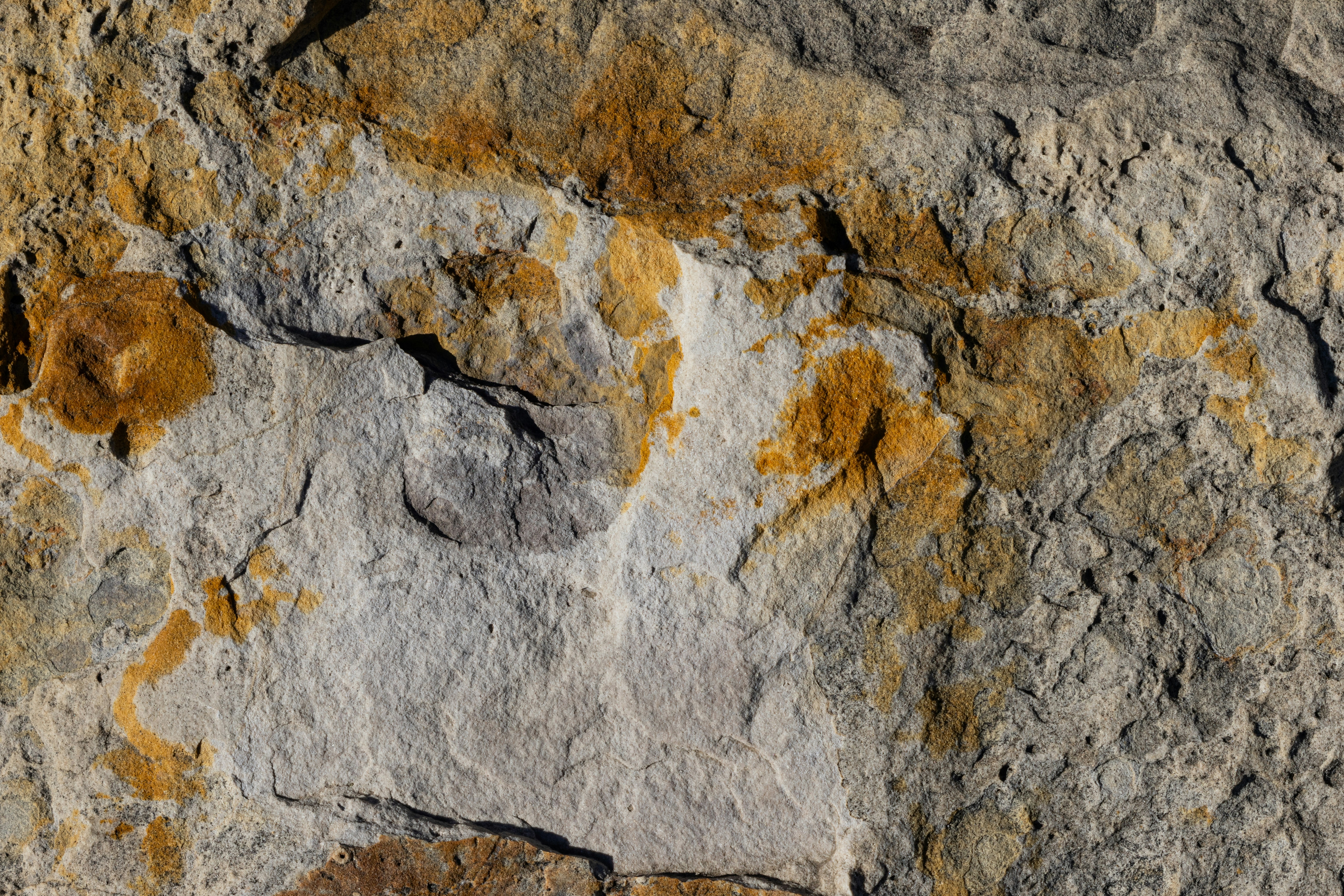 Photo by brandonstoll