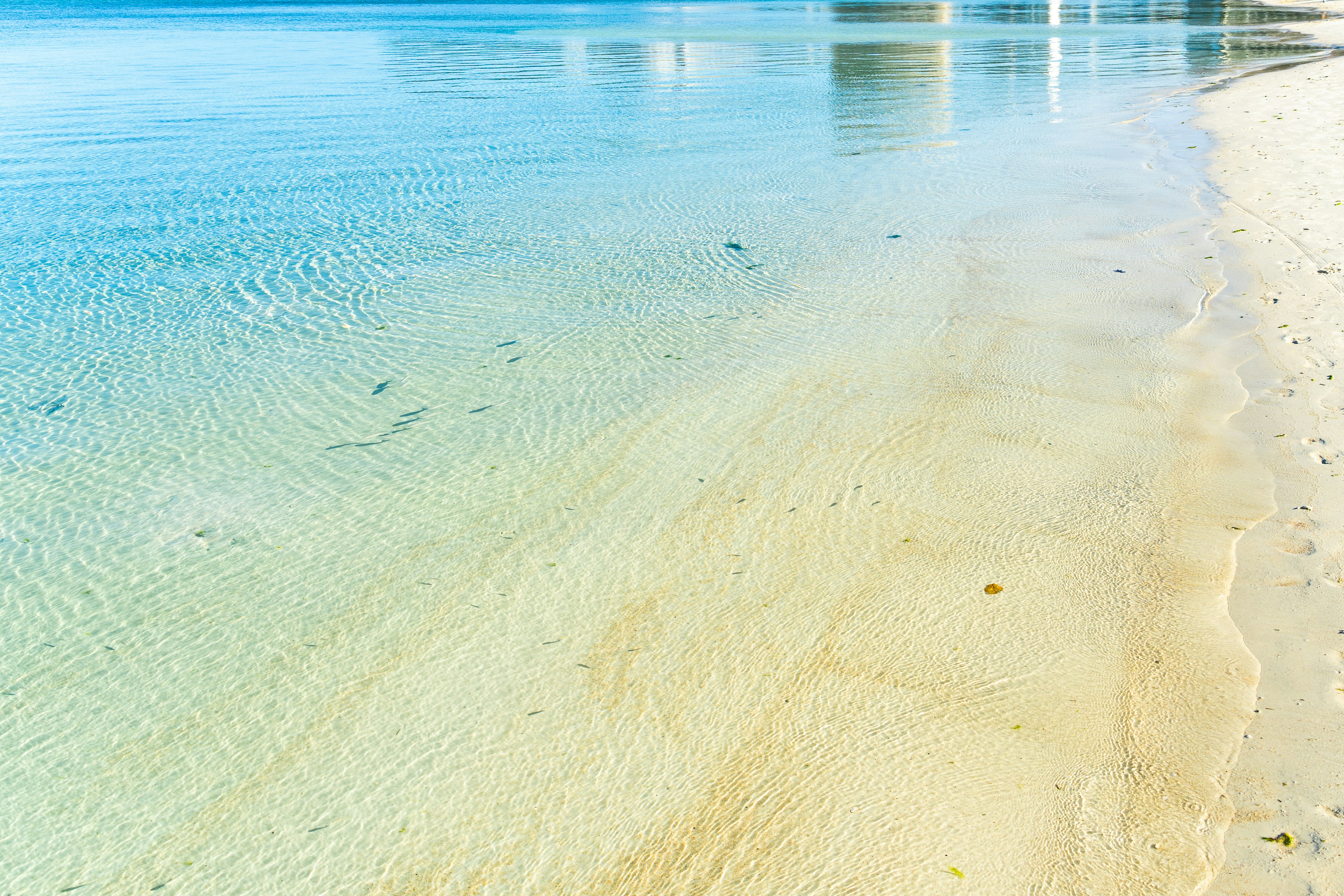 Photo by winstonchen