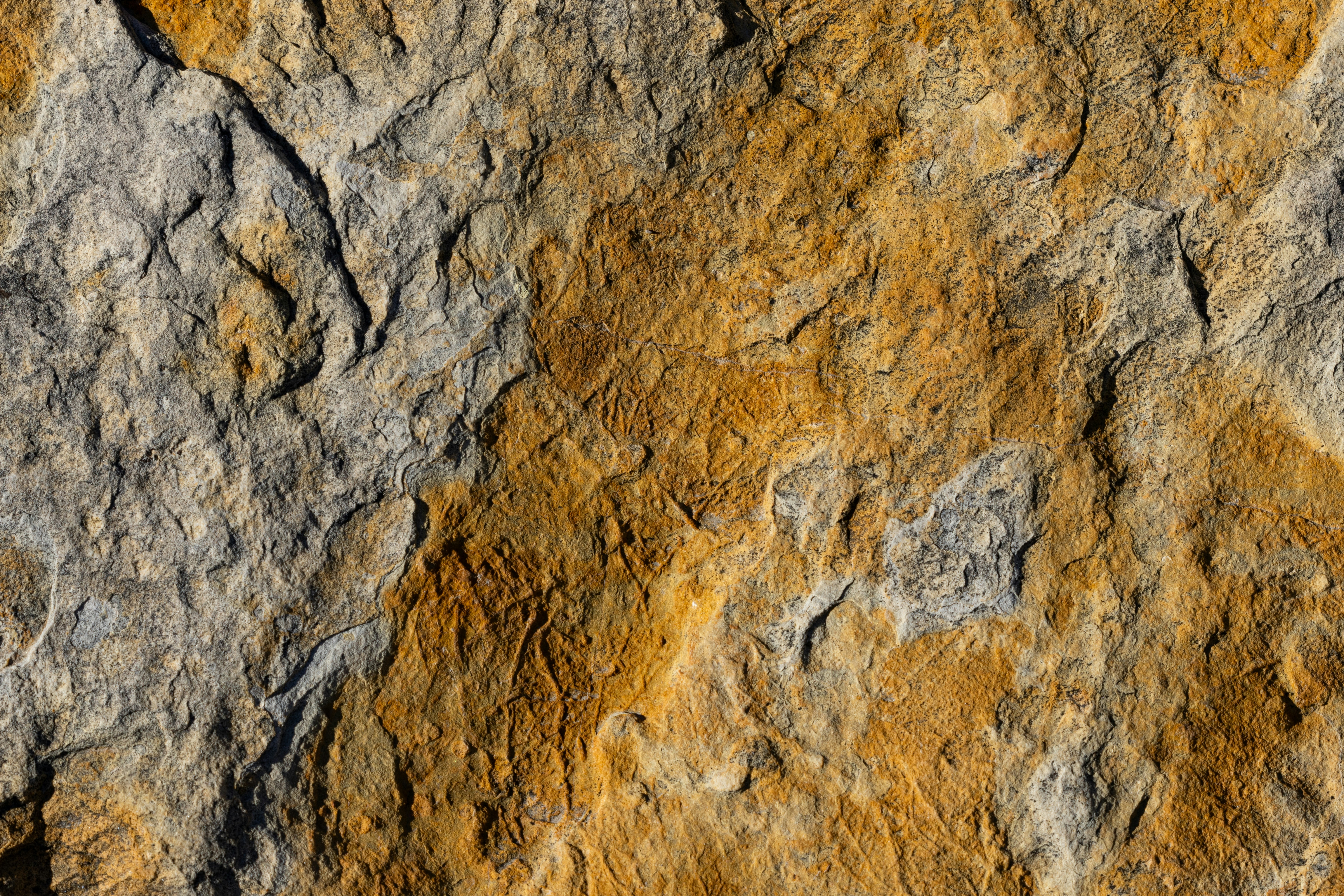 Photo by brandonstoll