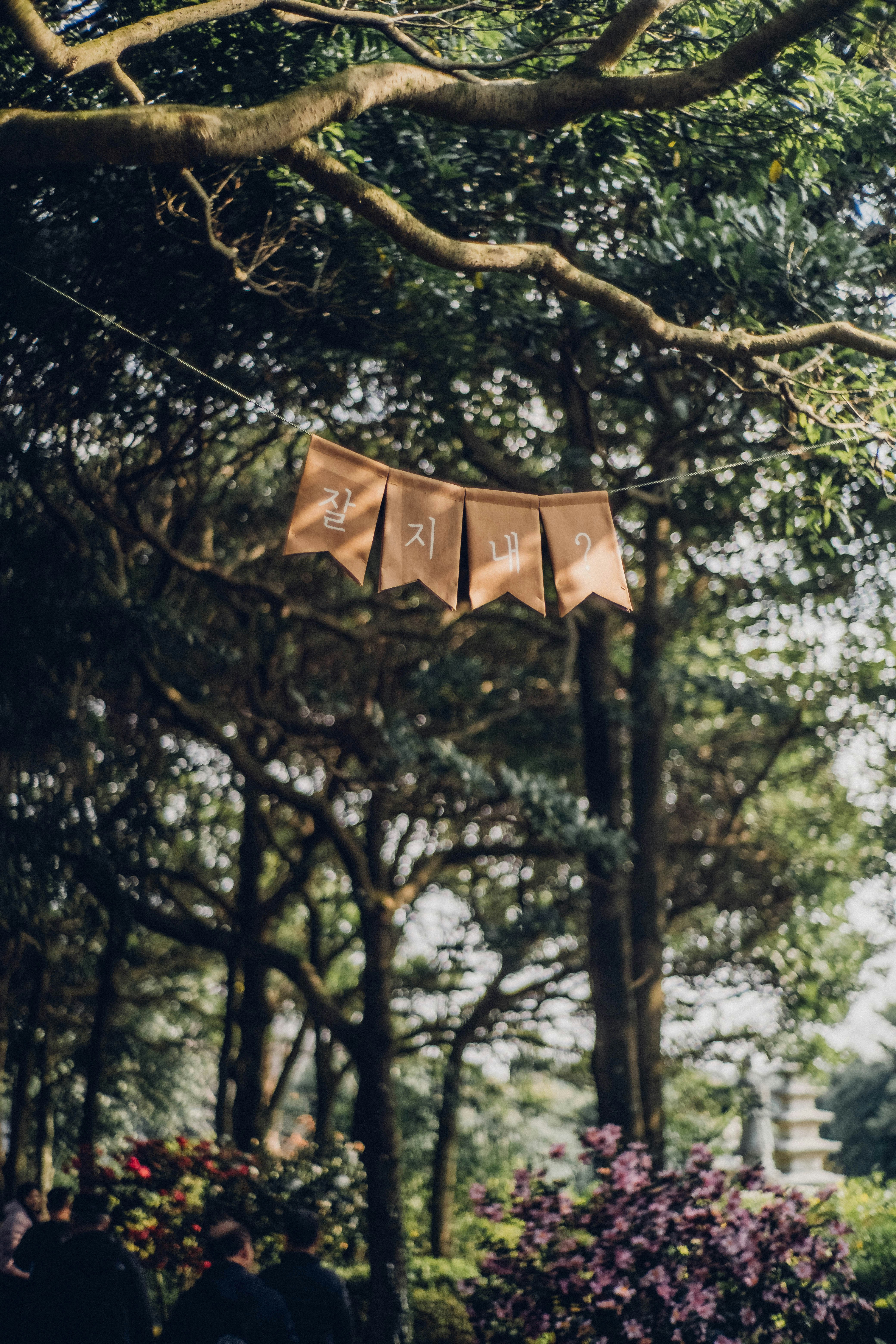 A sign hanging from a tree in a forest
