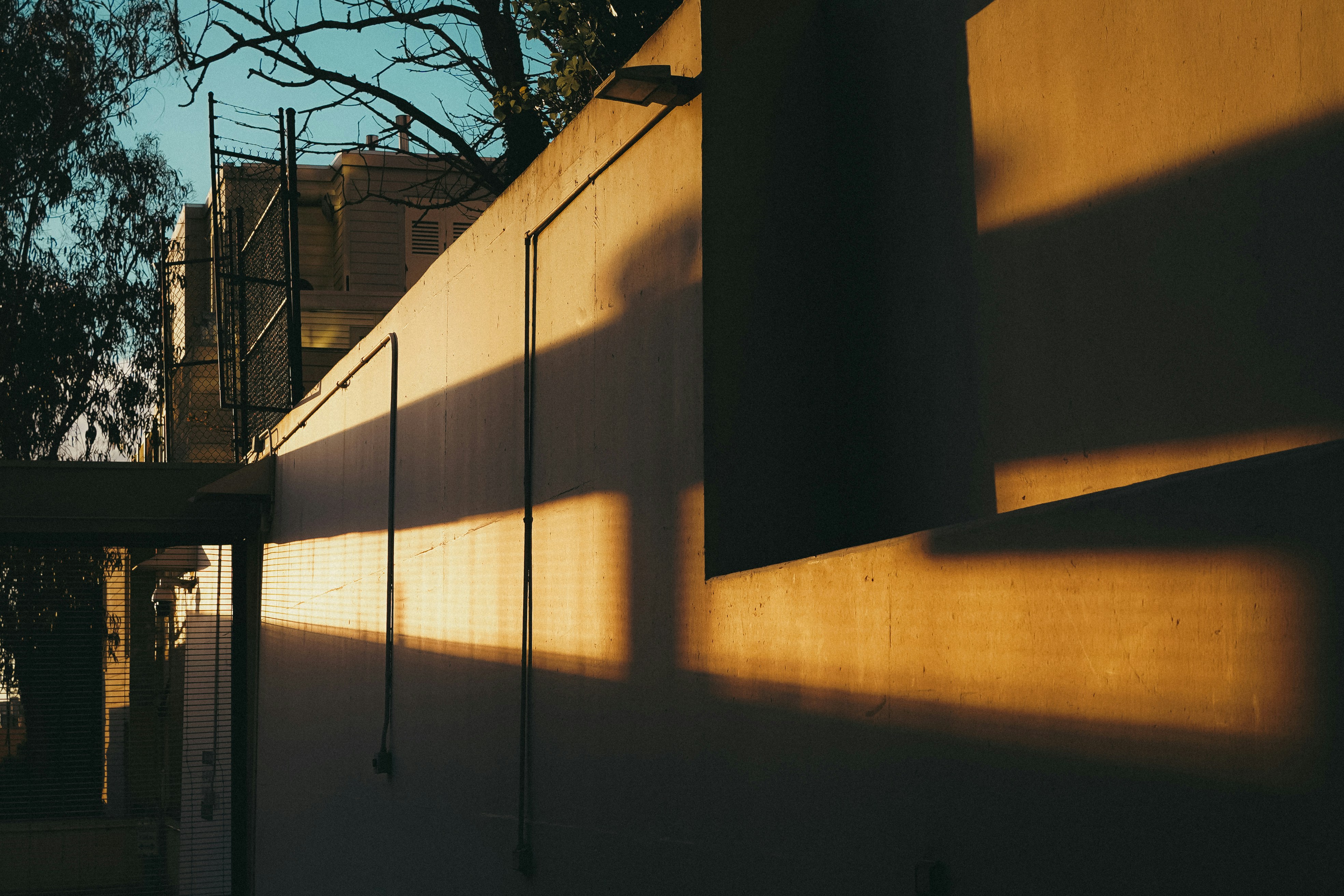 Photo by kalaniparker