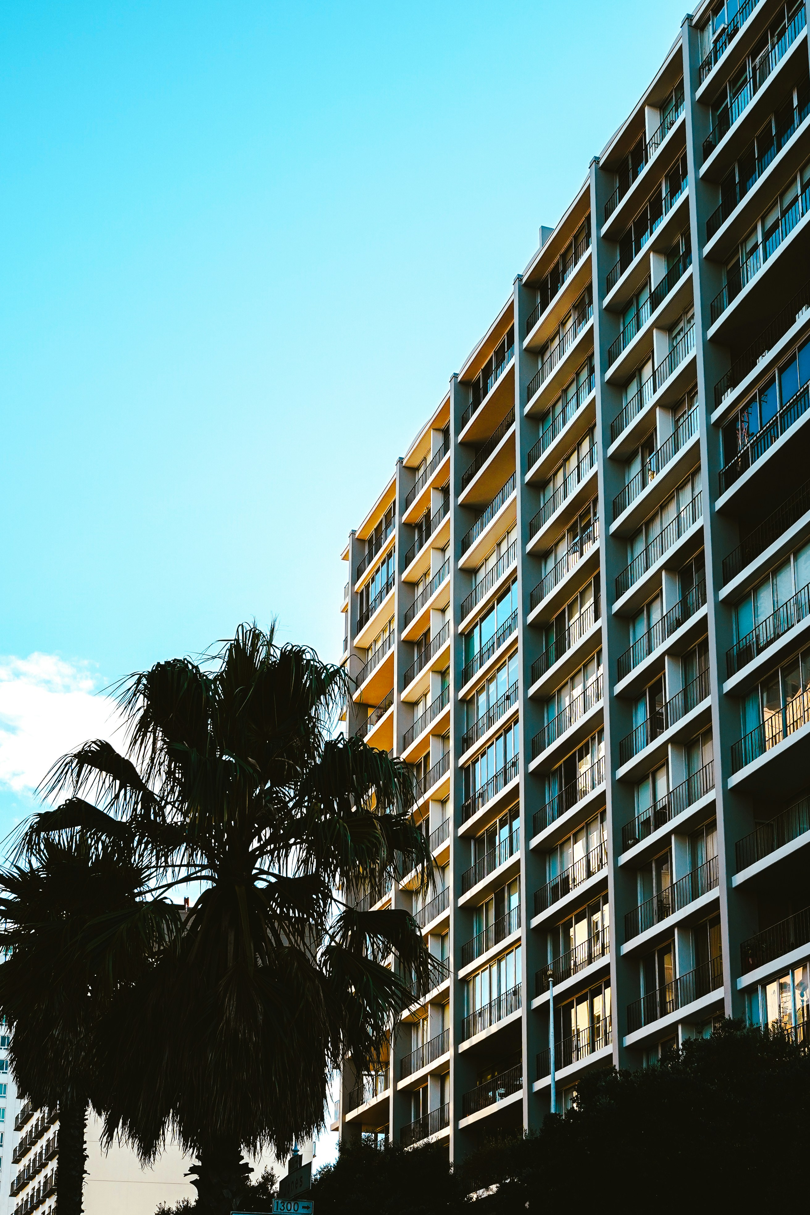 Photo by kalaniparker