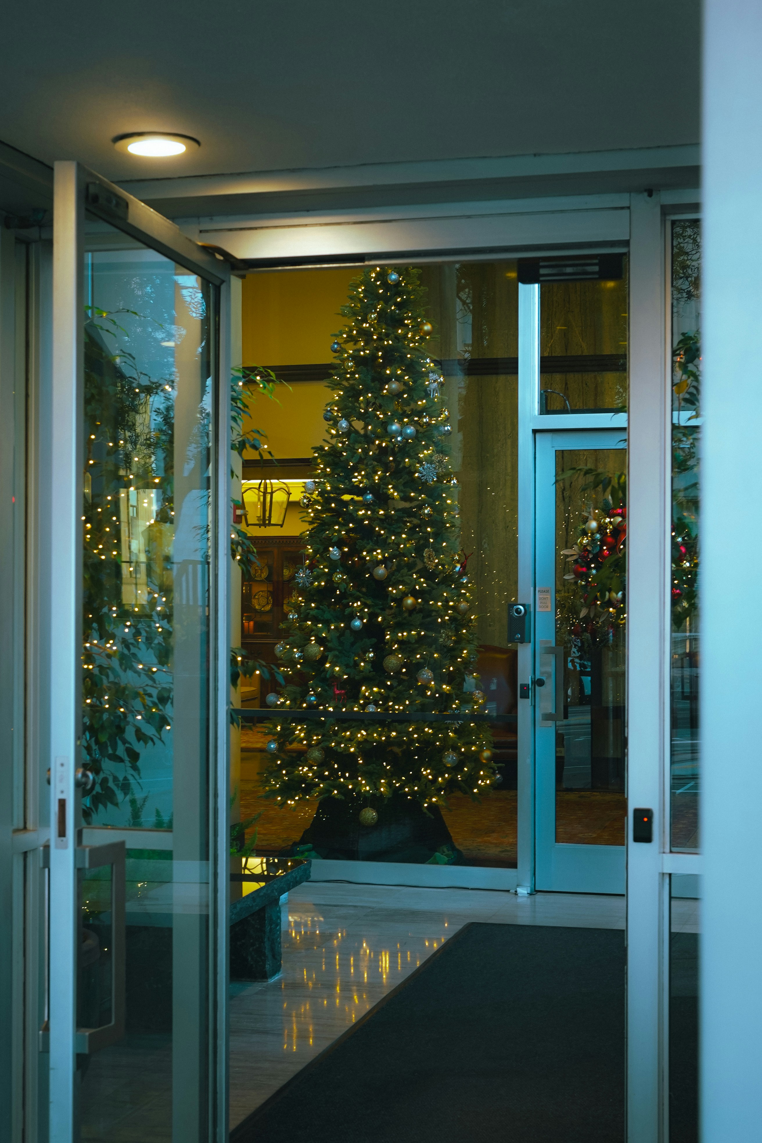 Photo by kalaniparker