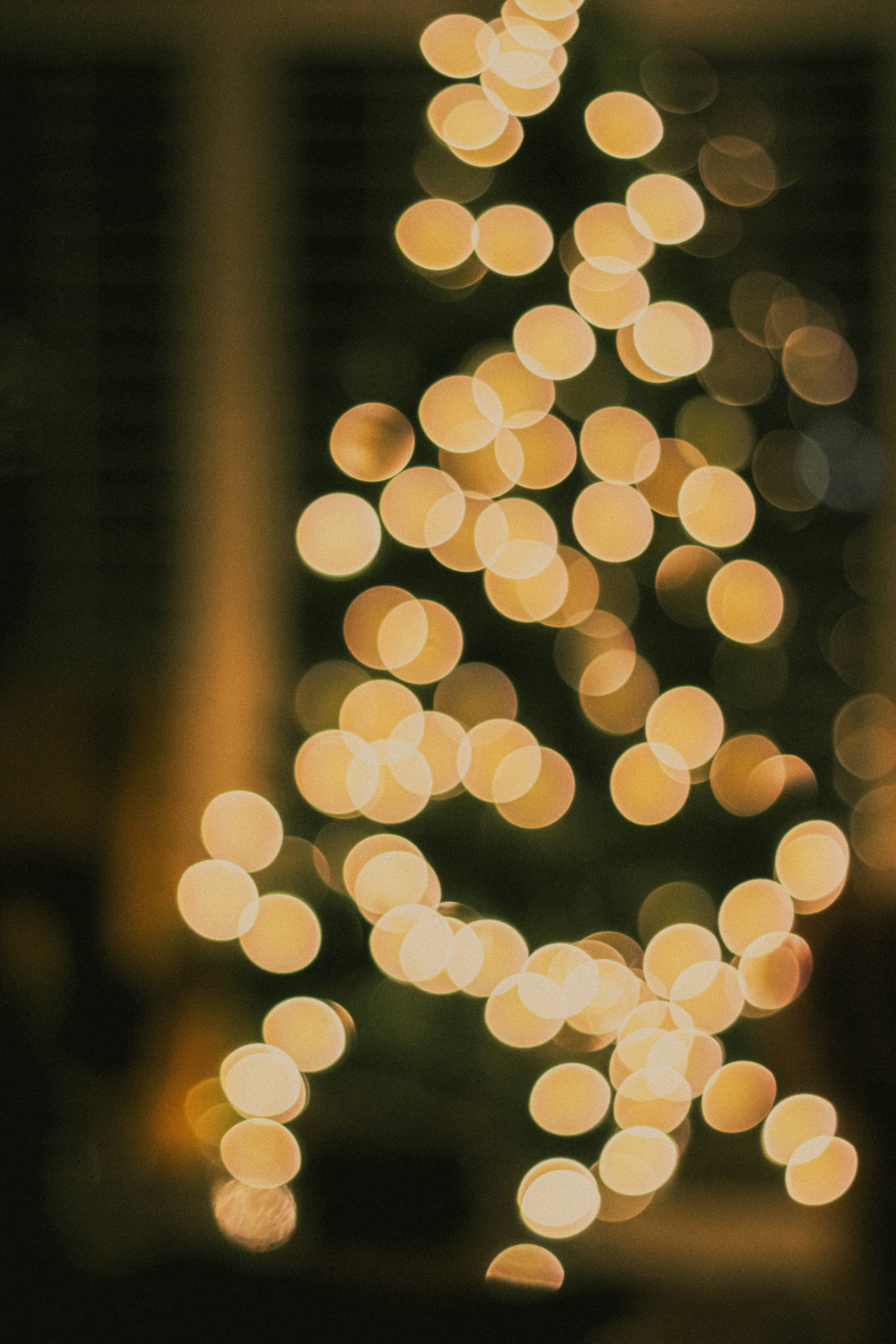 Photo by linusbelanger