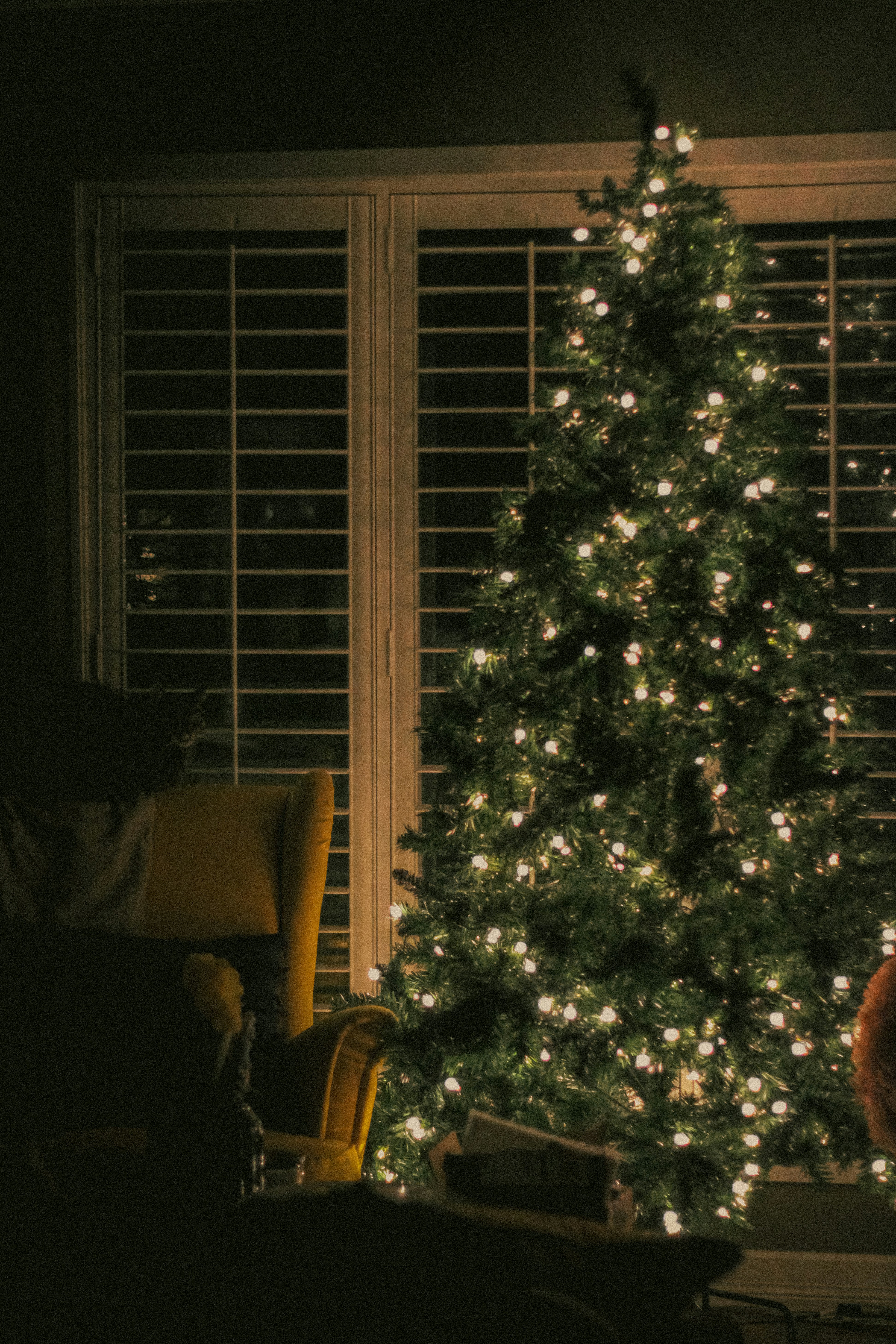 Photo by linusbelanger