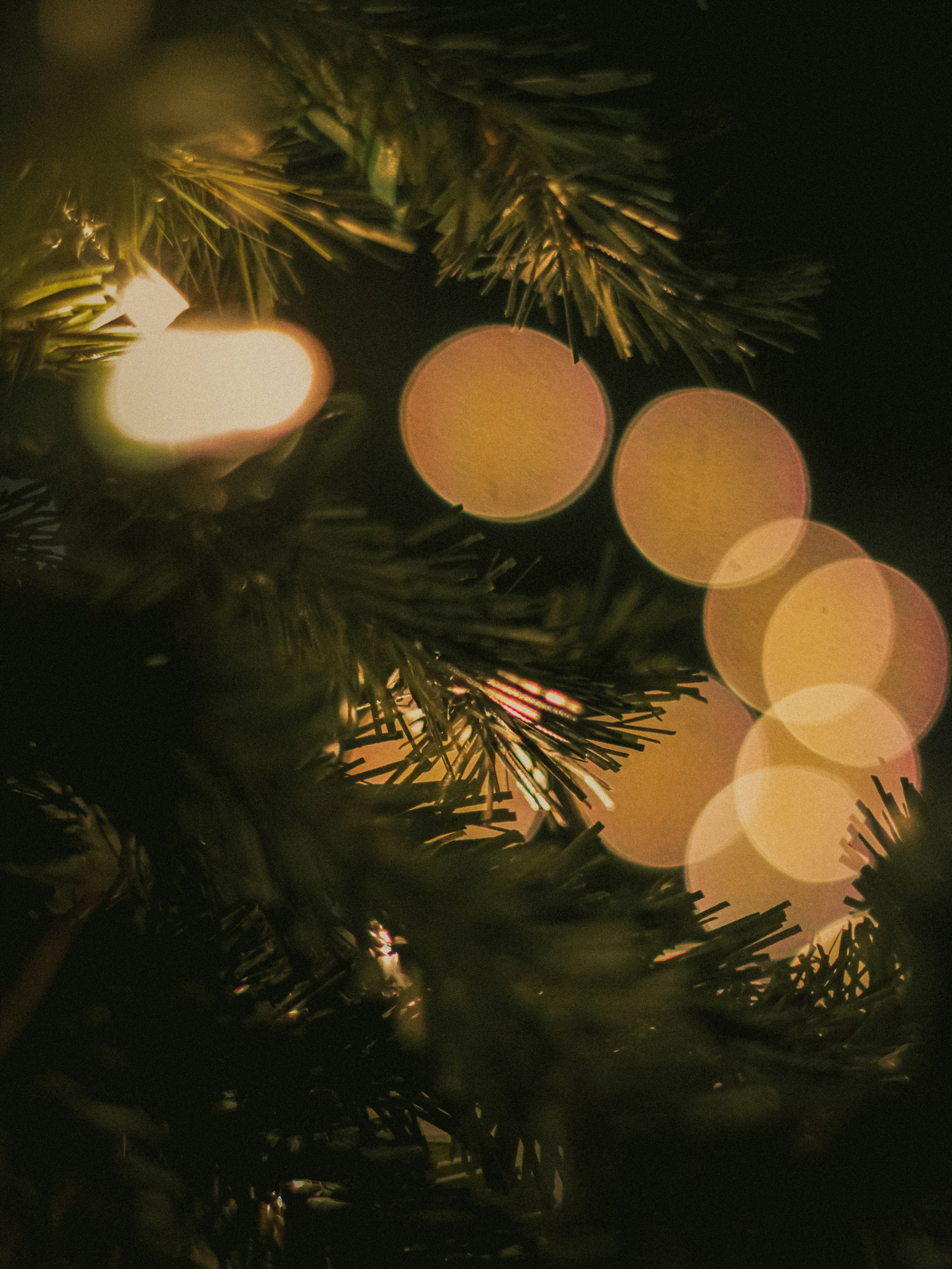 Nahaufnahme eines Weihnachtsbaums mit Lichtern