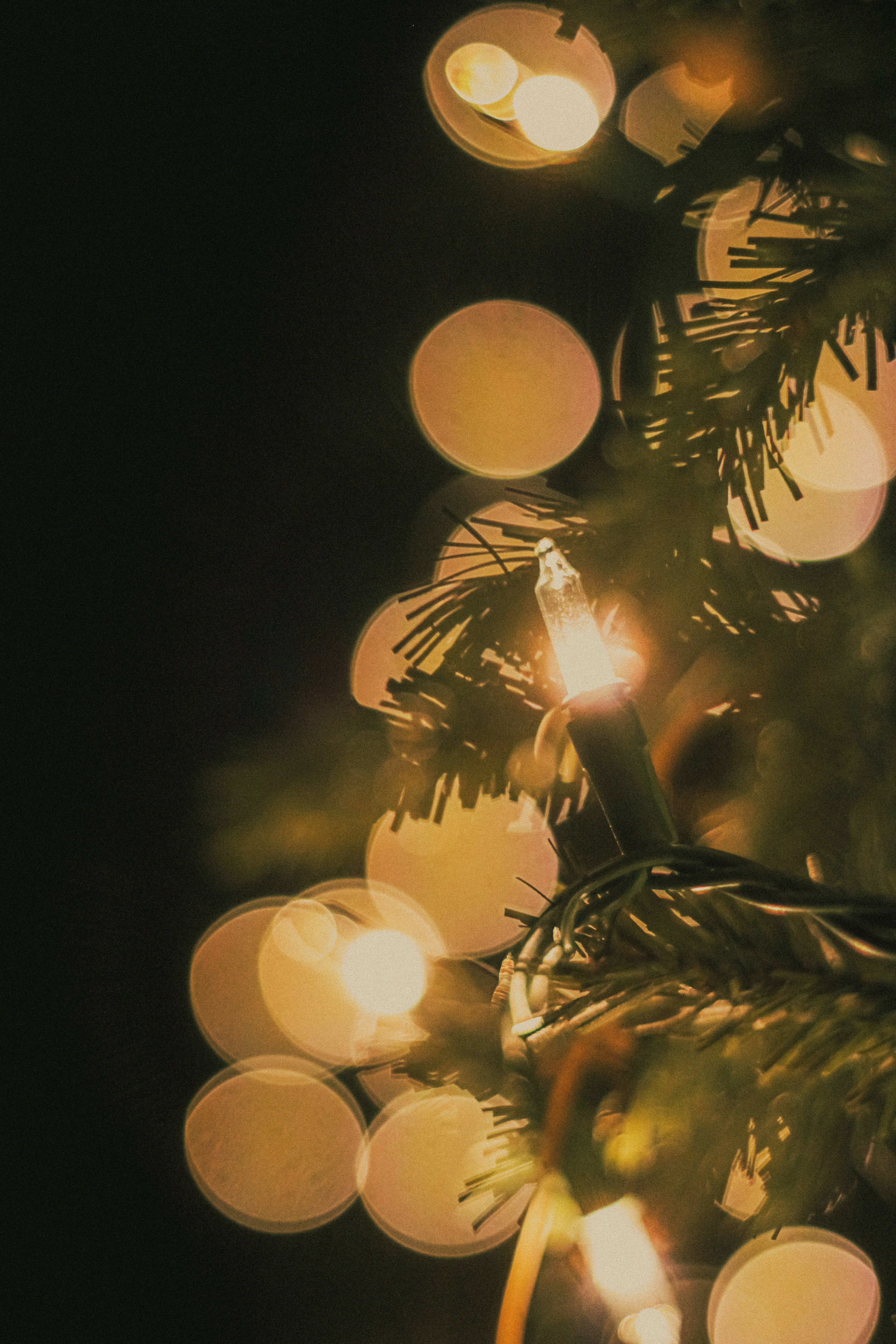 Photo by linusbelanger