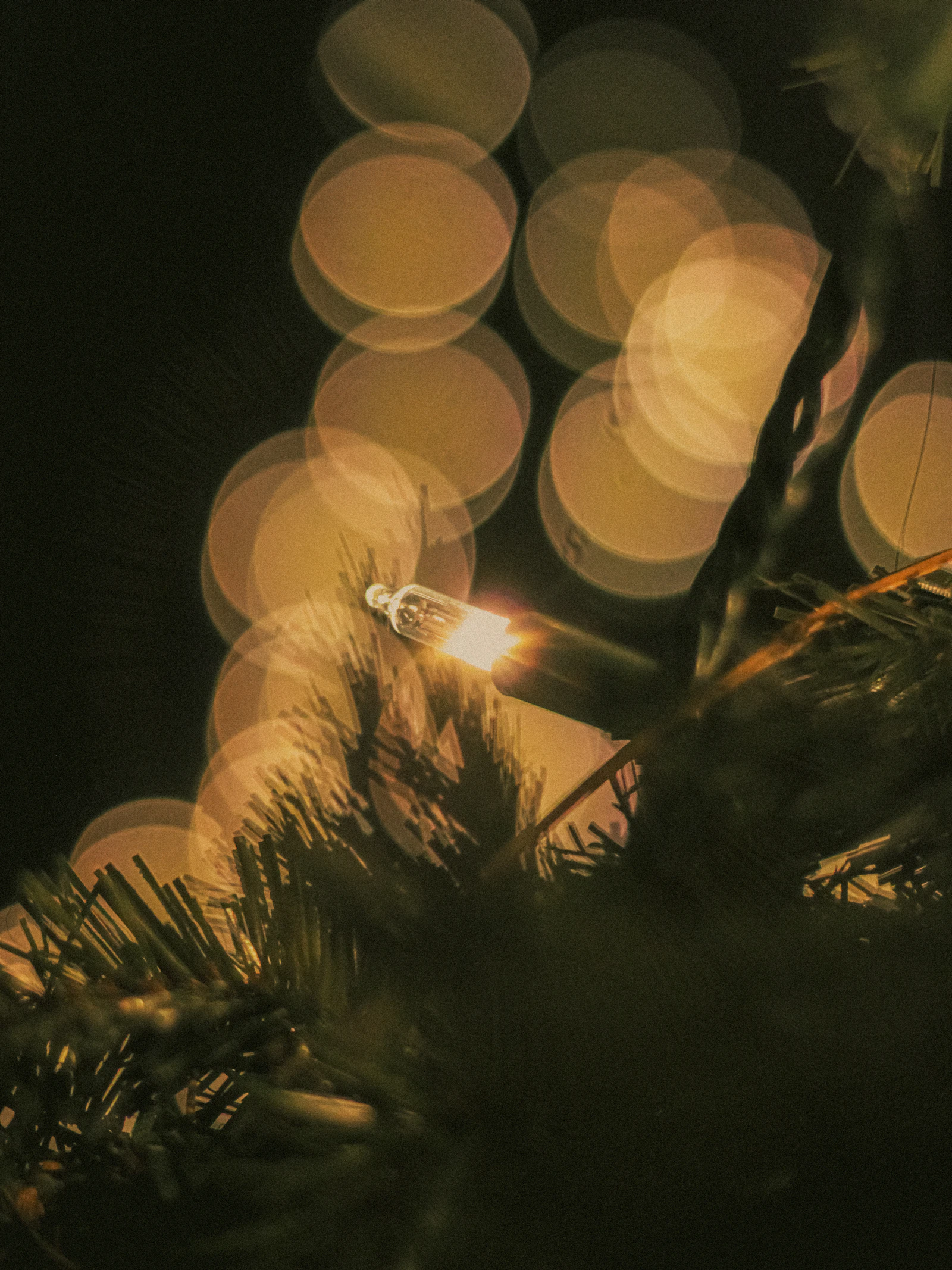 Árbol de Navidad con luces
