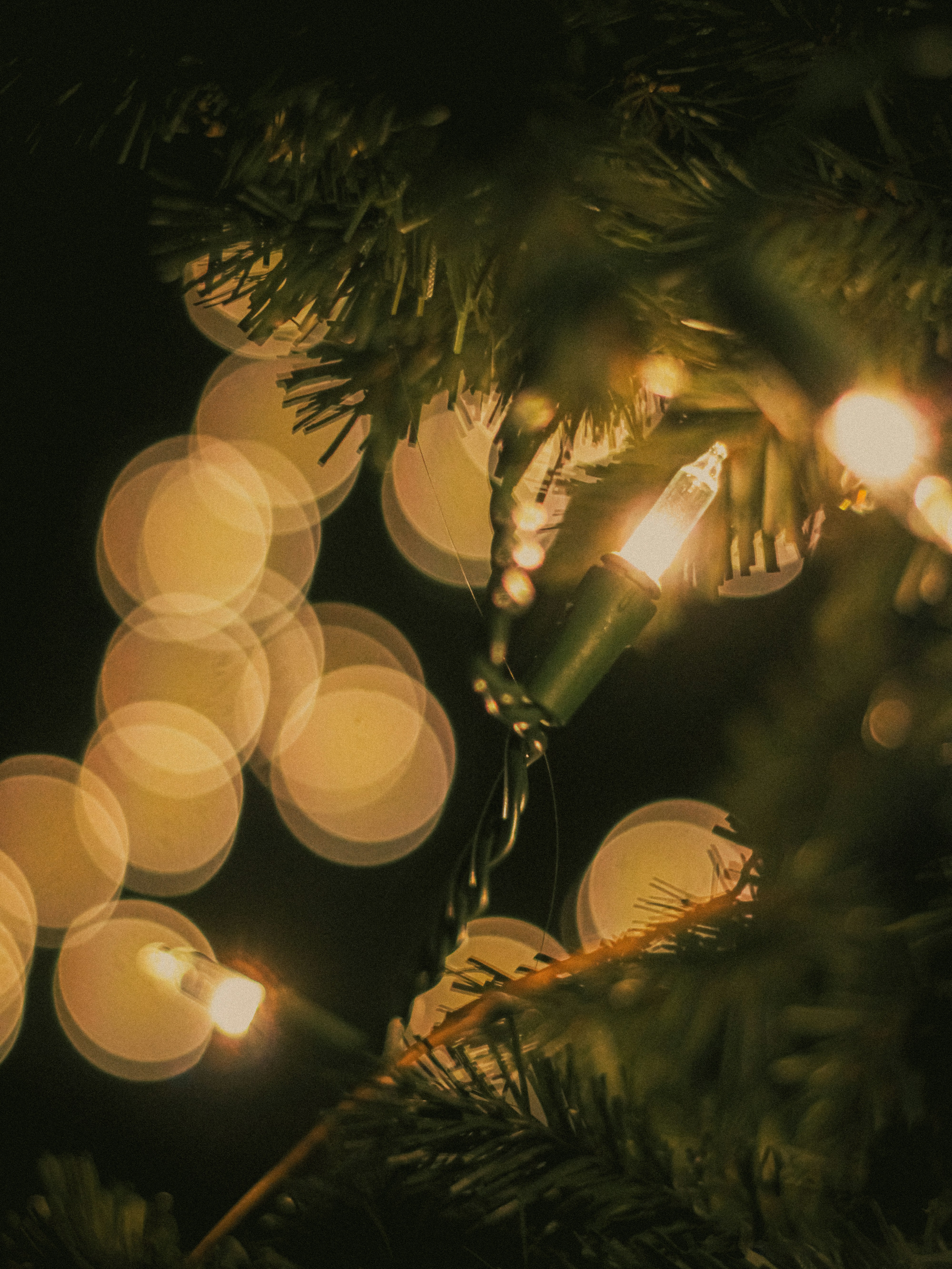 Photo by linusbelanger