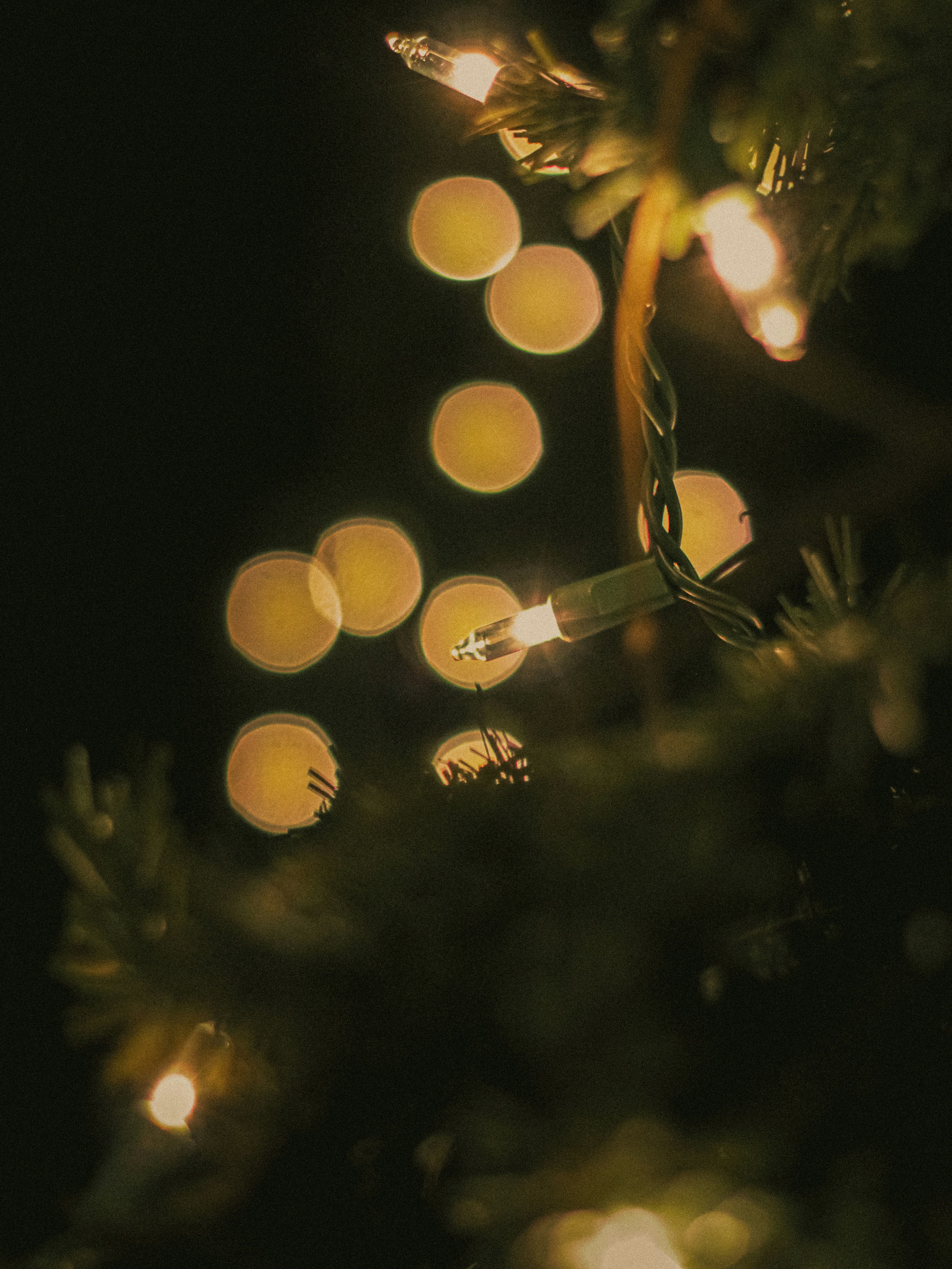 Photo by linusbelanger